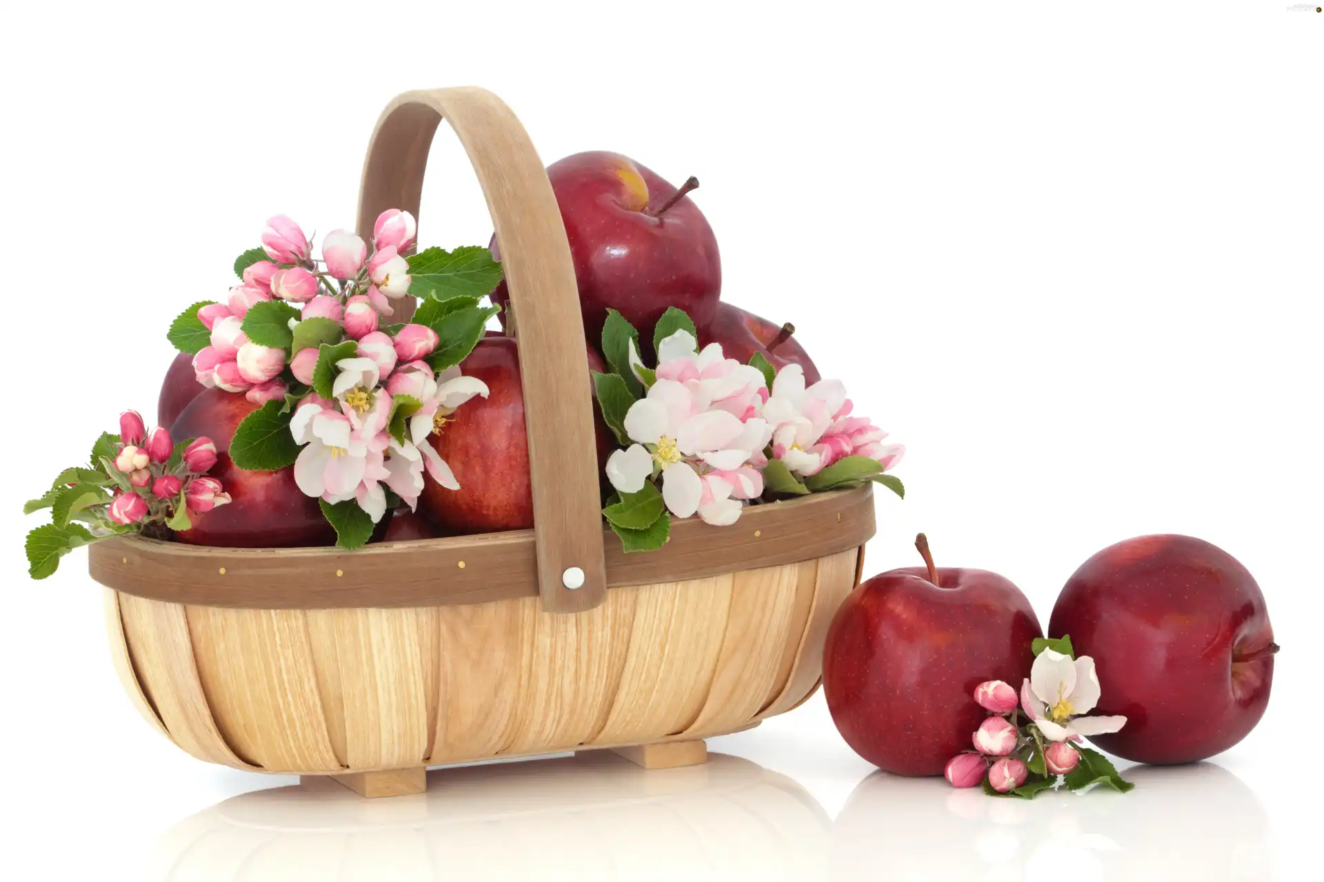 basket, Flowers, apple, apples