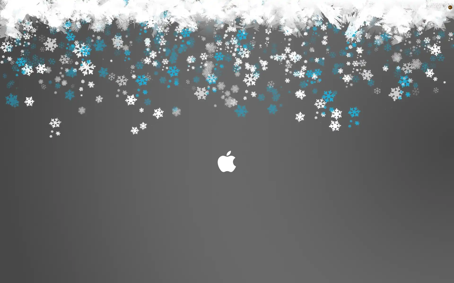 Apple, flakes, snow