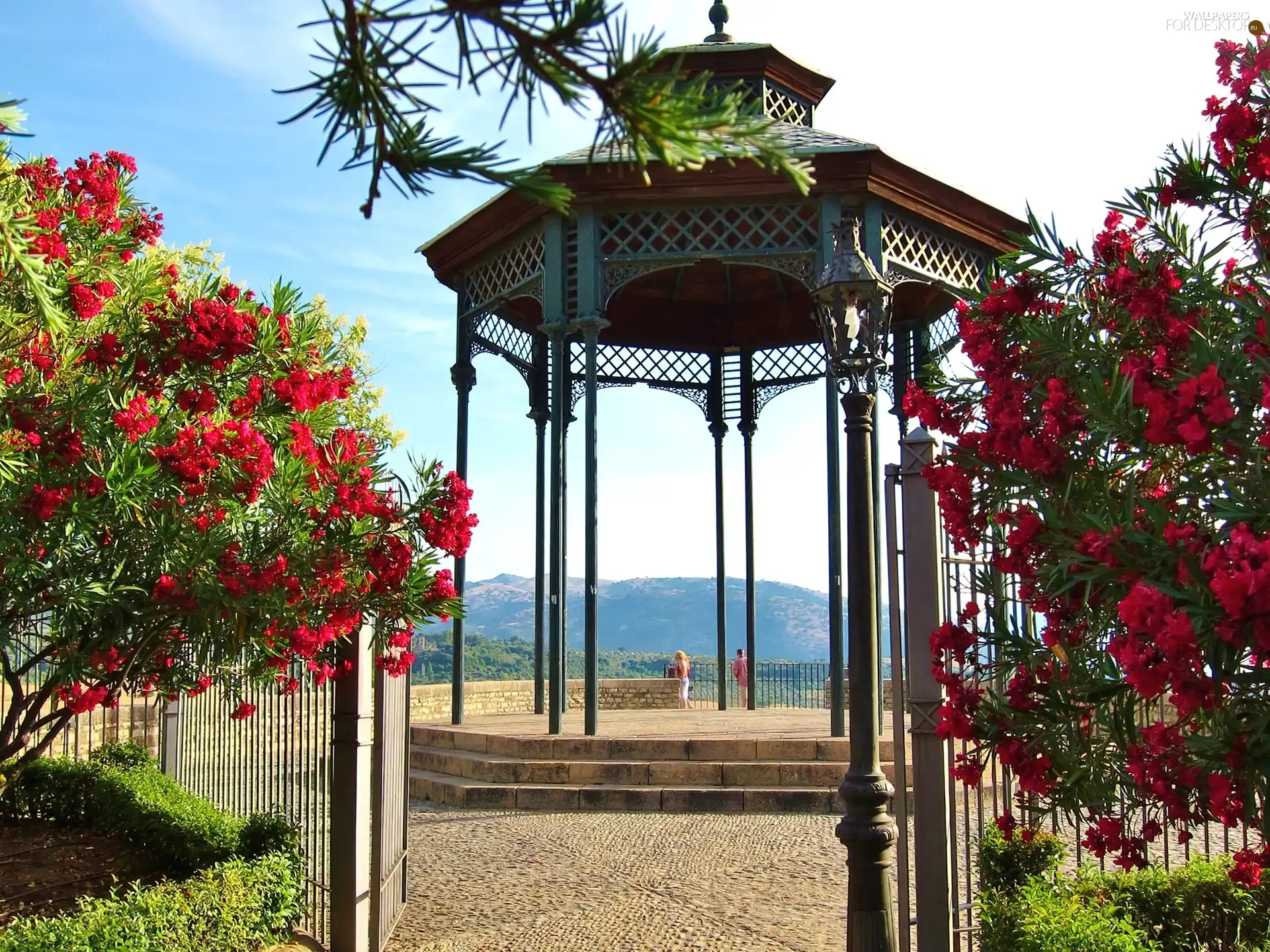 arbour, Garden, Flowers