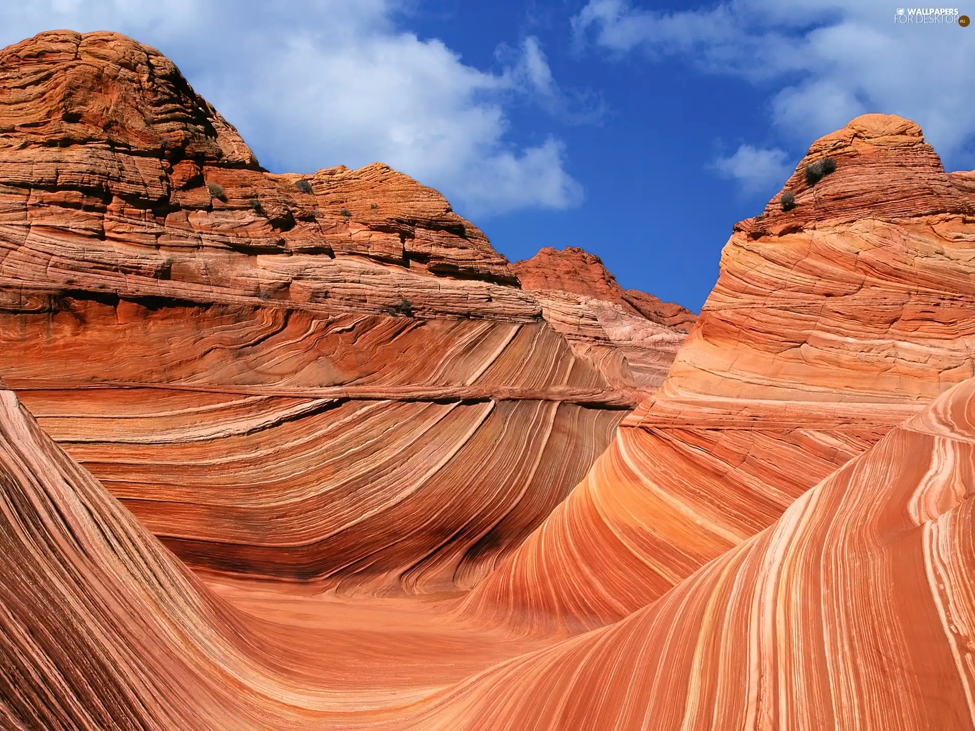 Arizona, Cliffs, wilderness