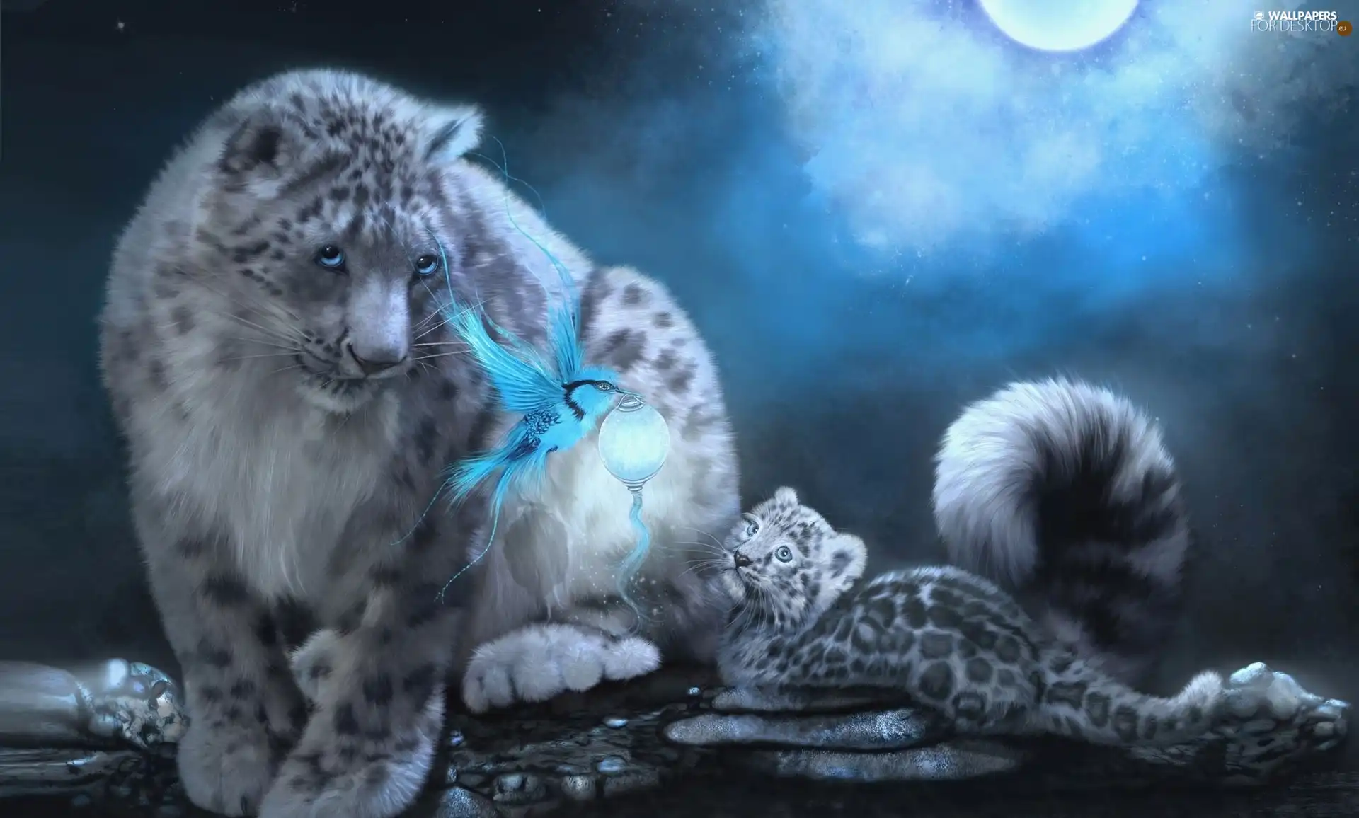 White, birdies, Art, snow leopard