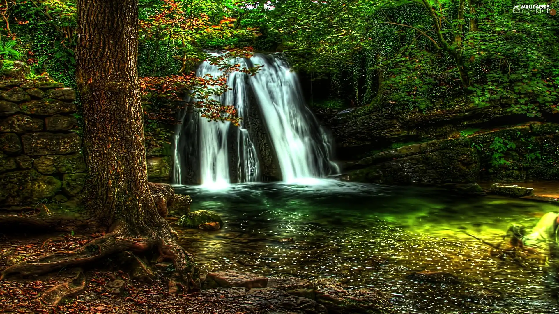water, waterfall, as tree