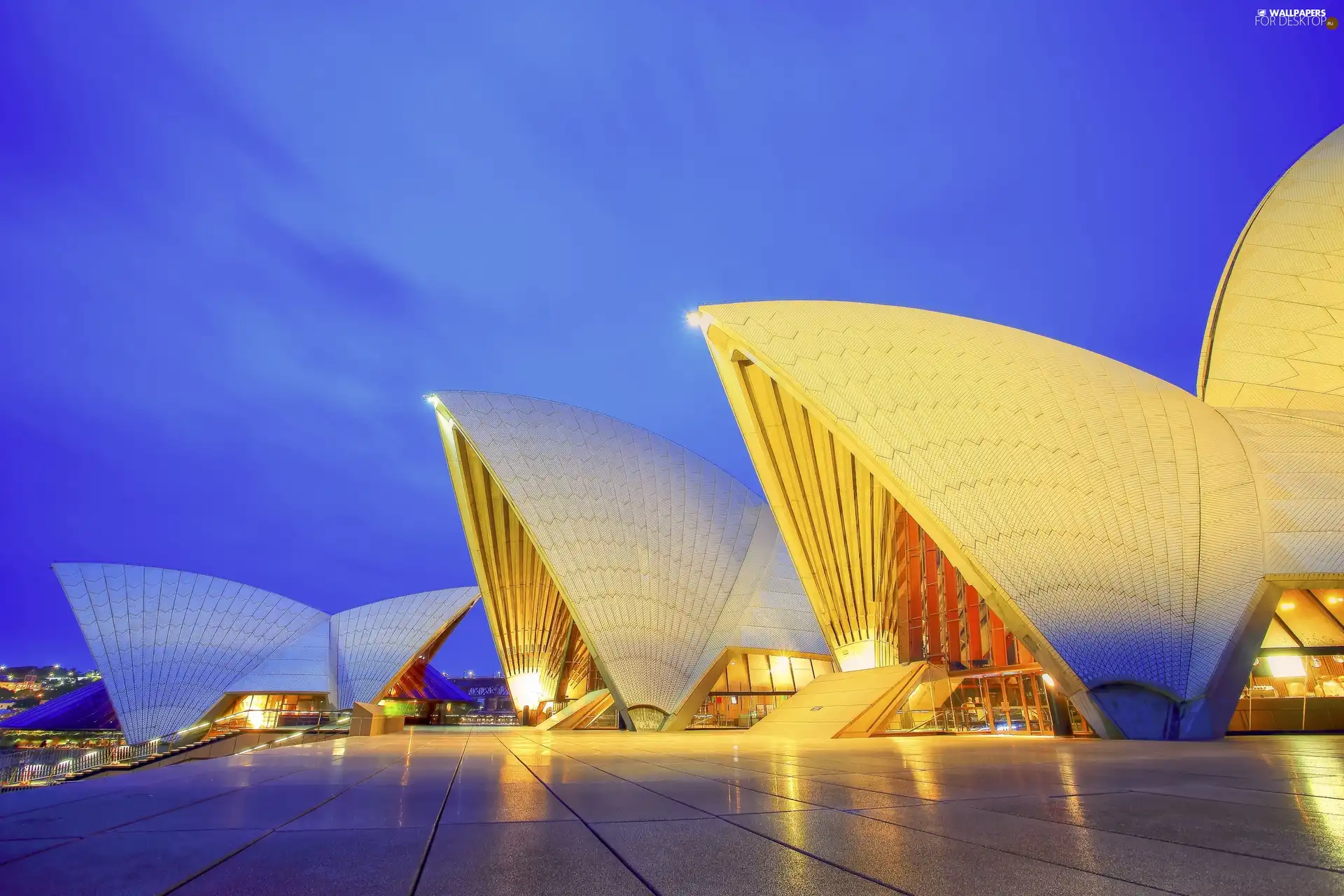 Australia, illuminated, Sydney Opera House, Sydney