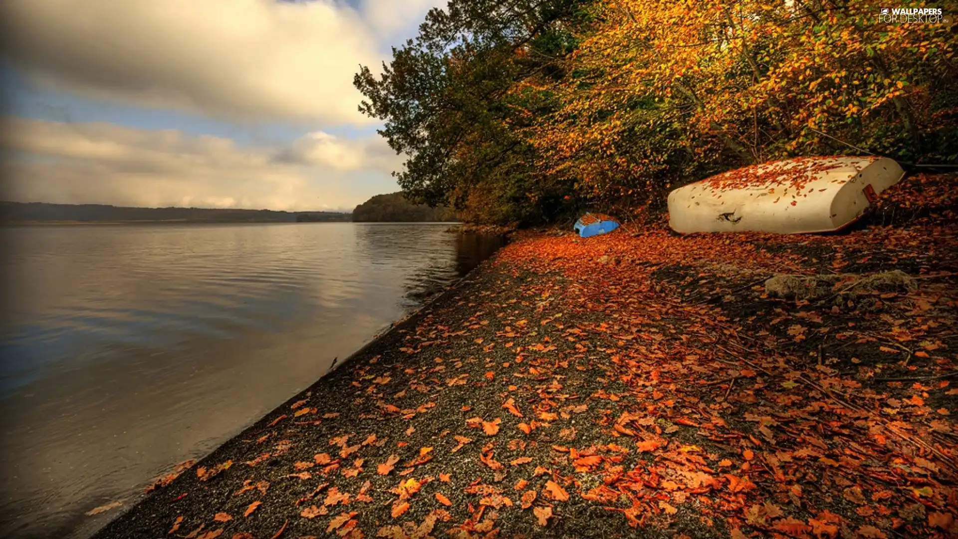 autumn, lake, Beaches