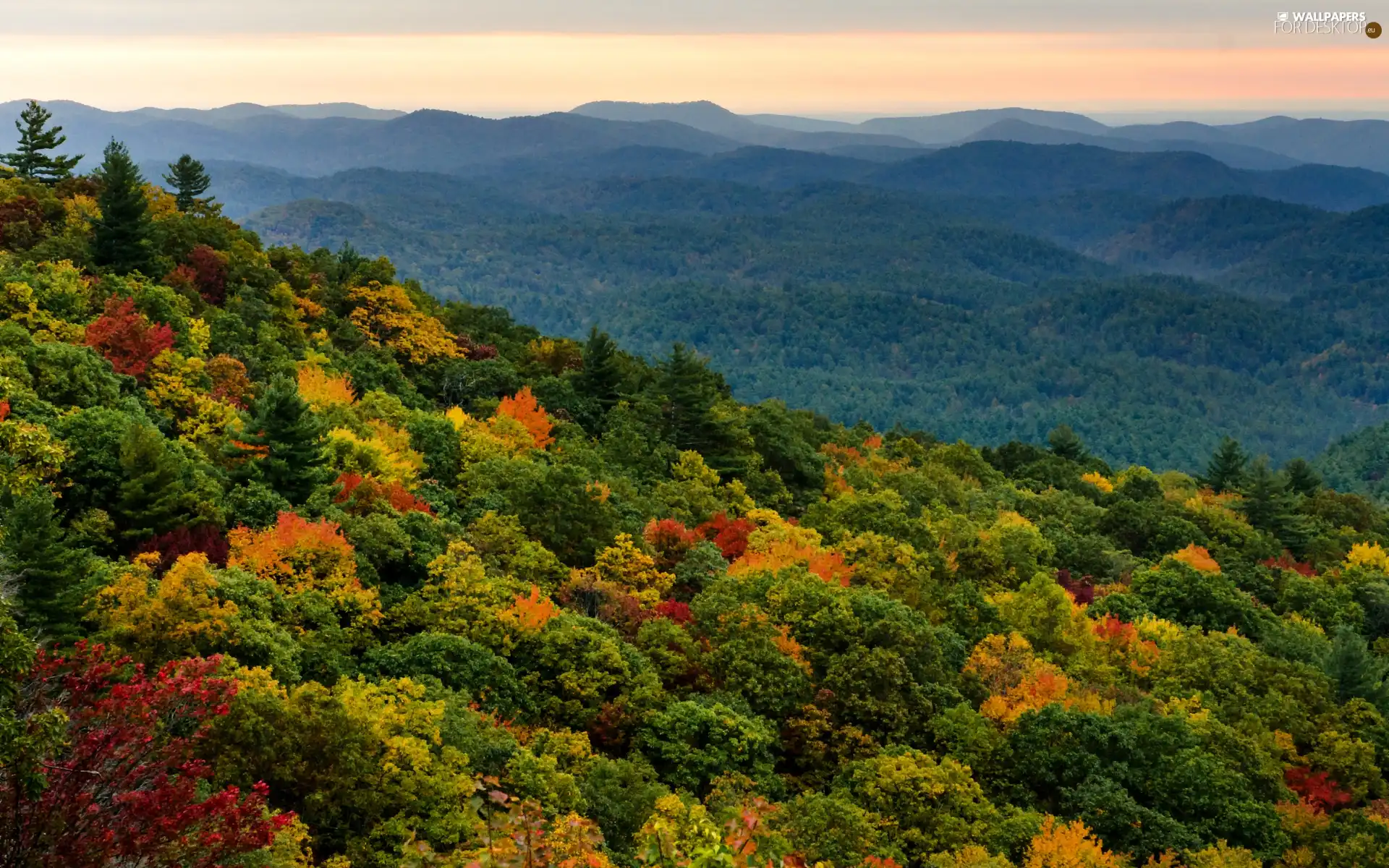 autumn, Mountains, forest