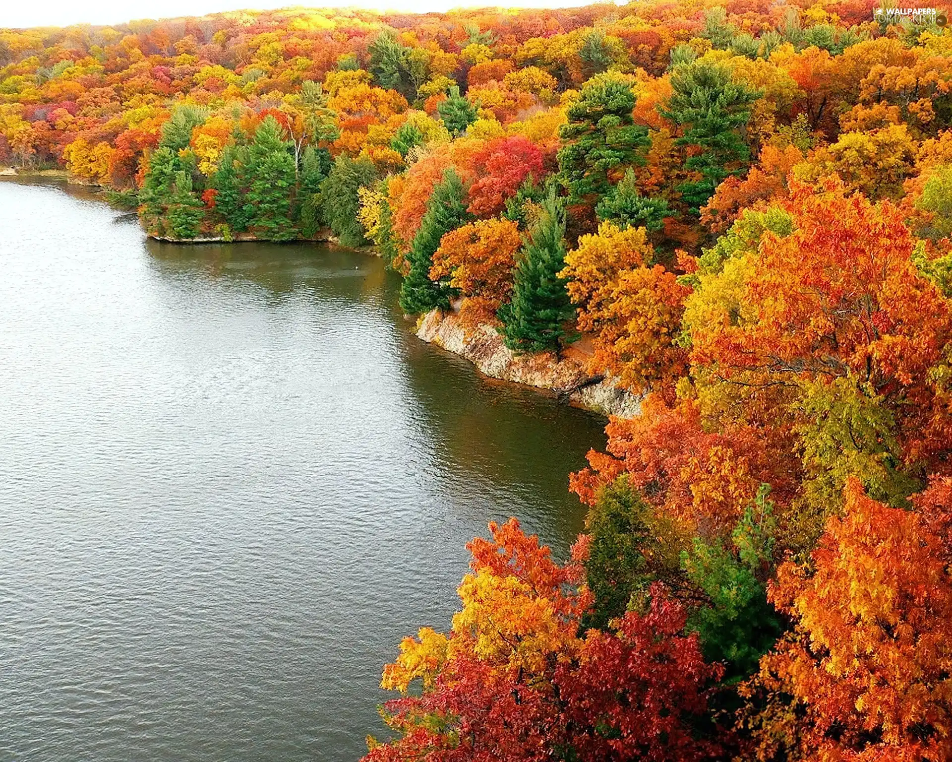 lake, autumn