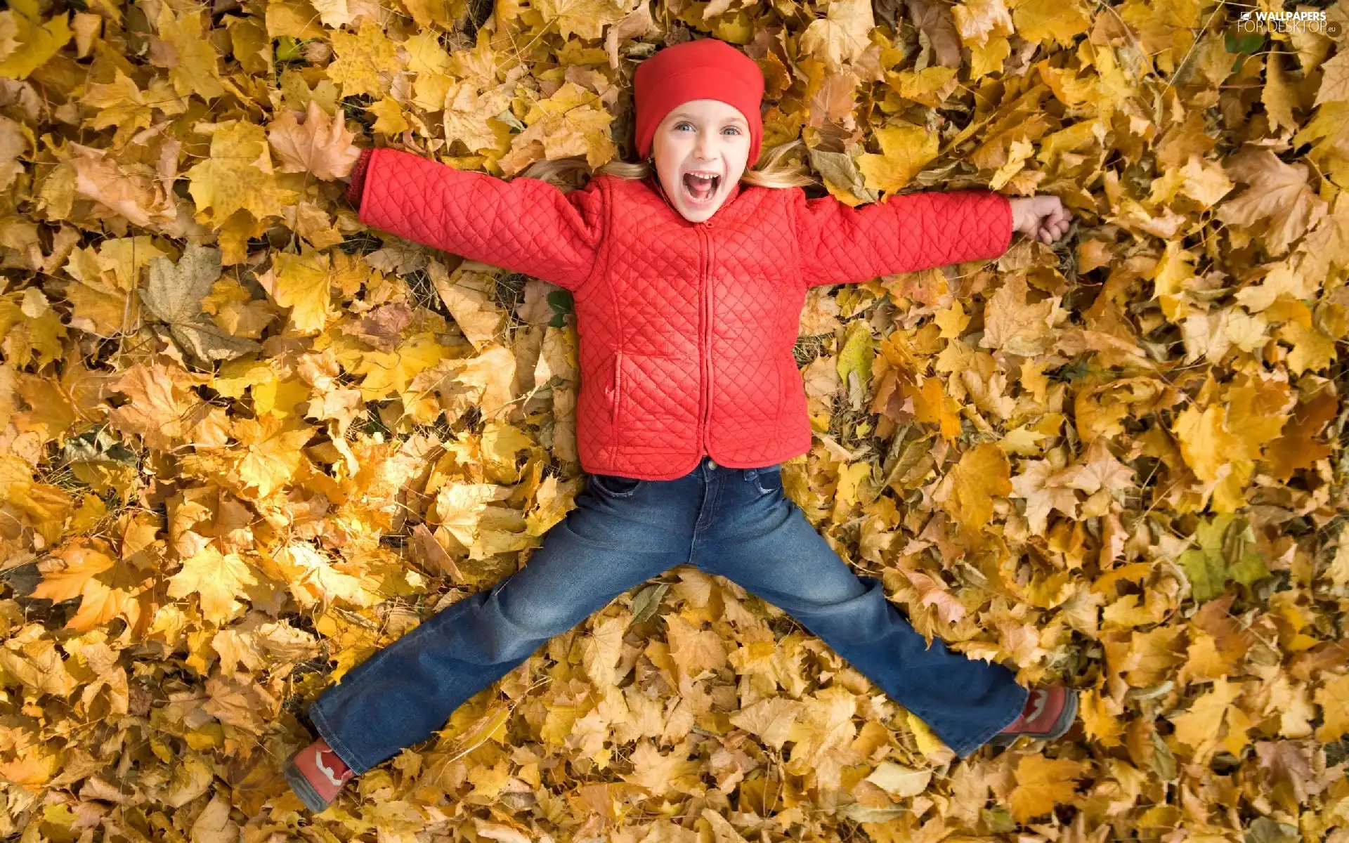 autumn, girl, Leaf