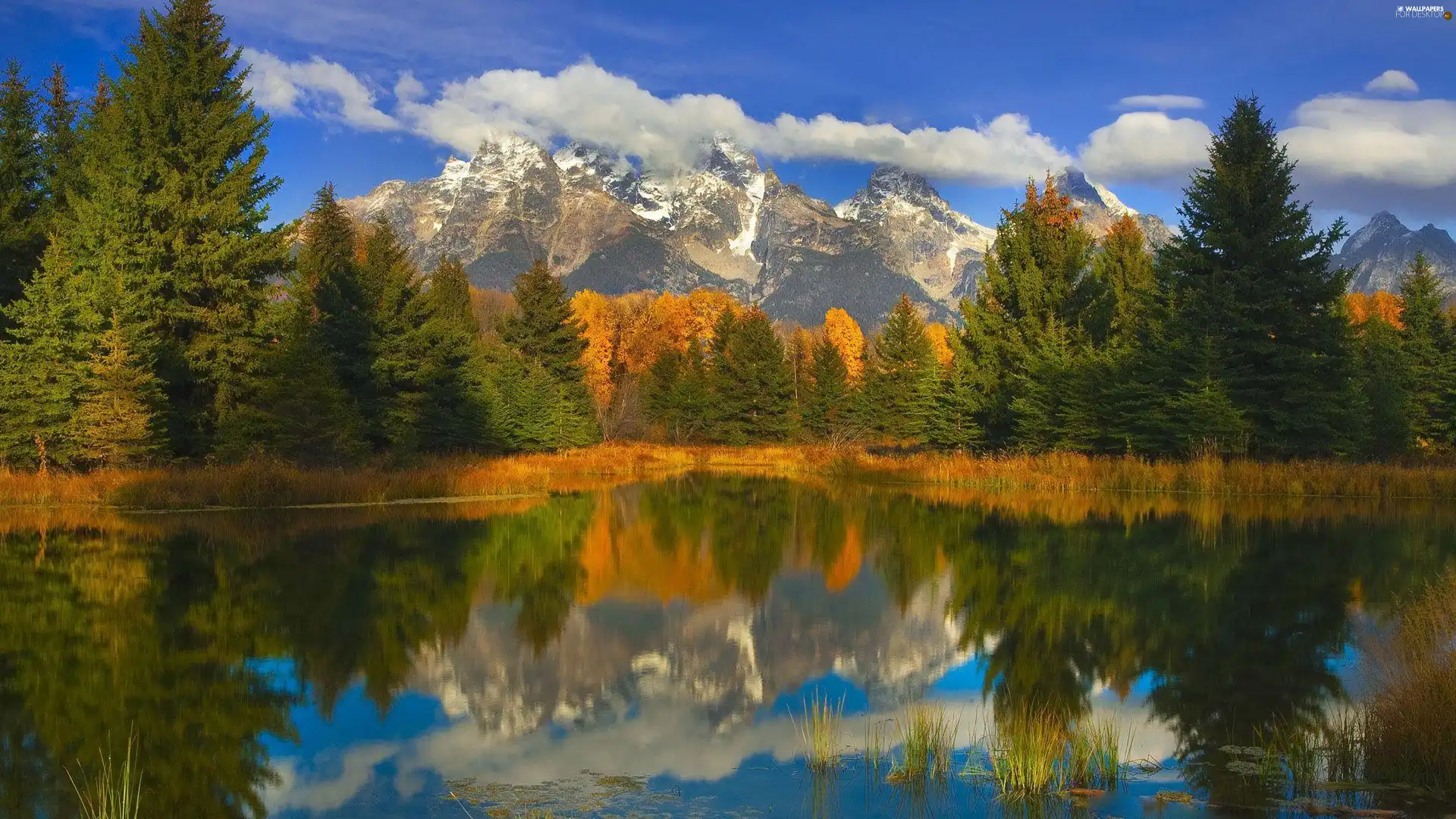 Mountains, woods, autumn, lake