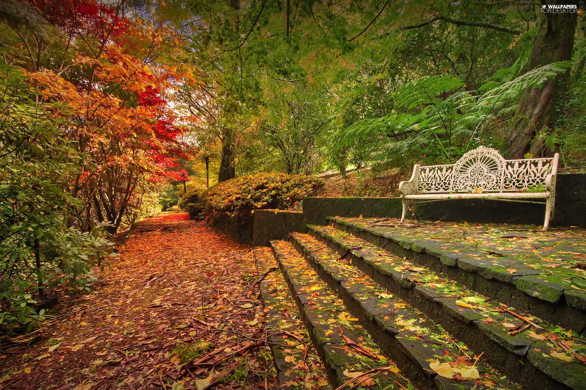 Park, Stairs, autumn, Bench
