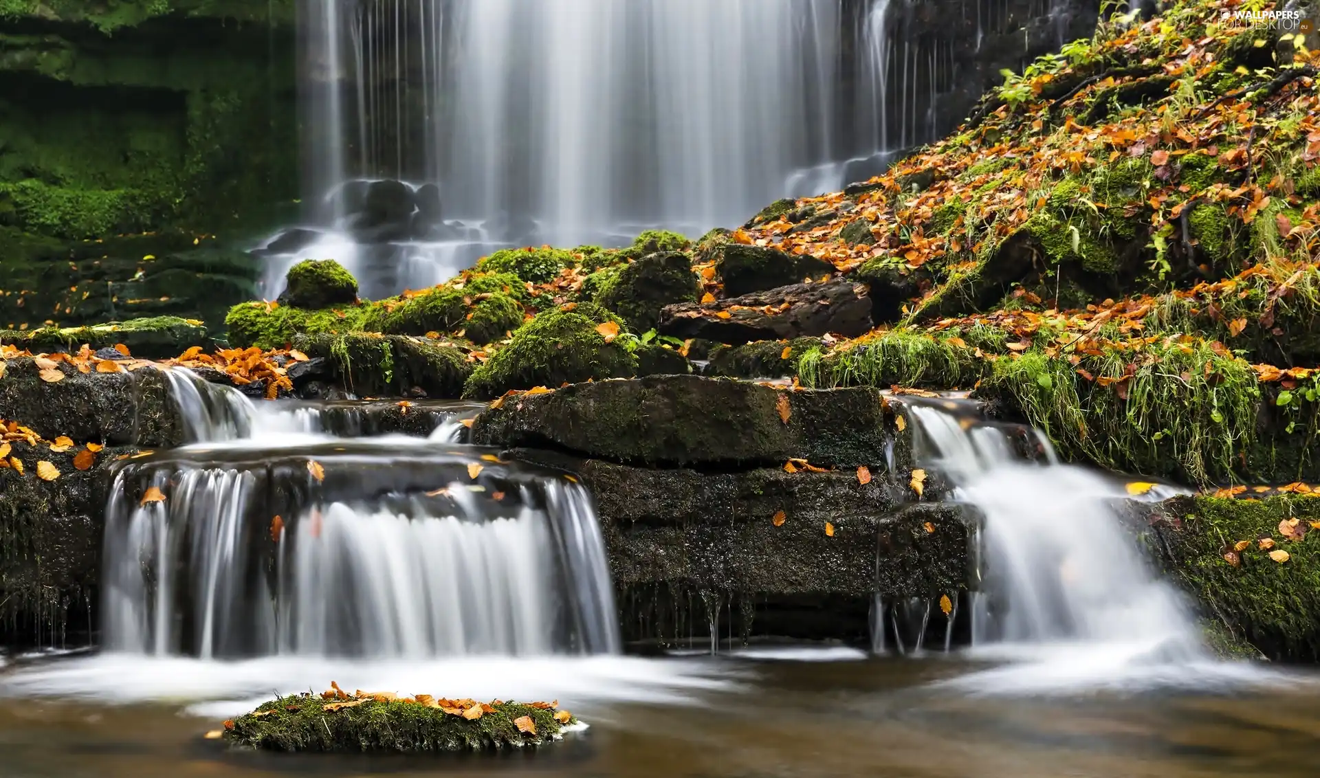 waterfall, Leaf, autumn, rocks