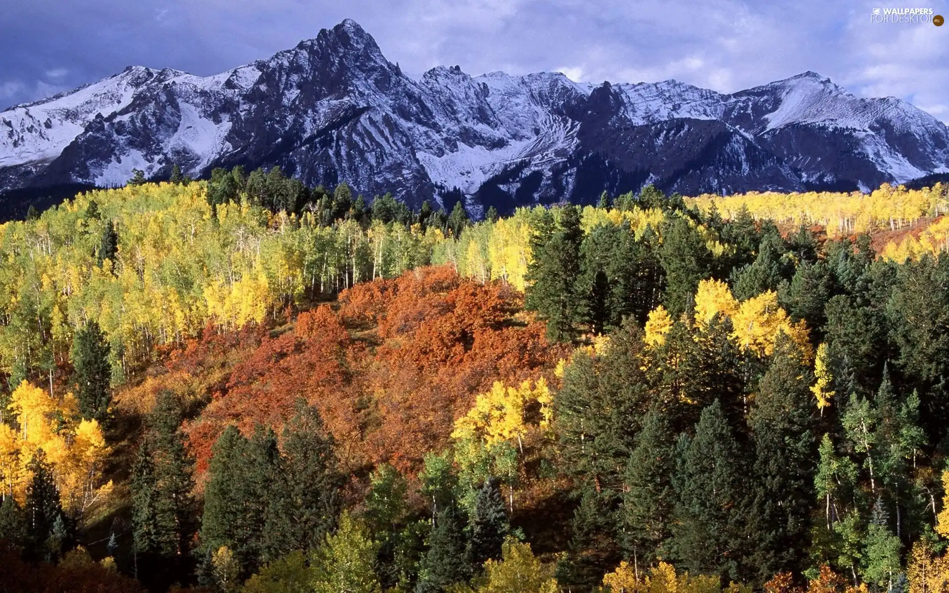 autumn, Mountains, woods