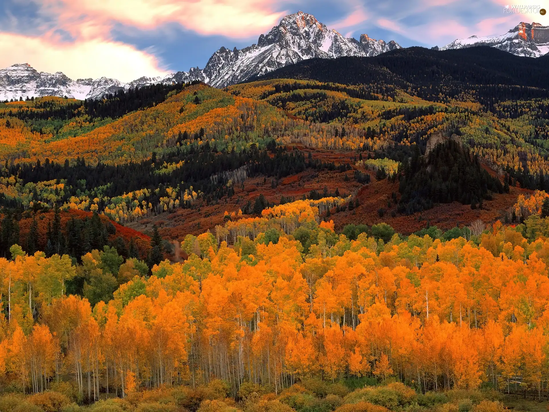 autumn, Mountains, woods