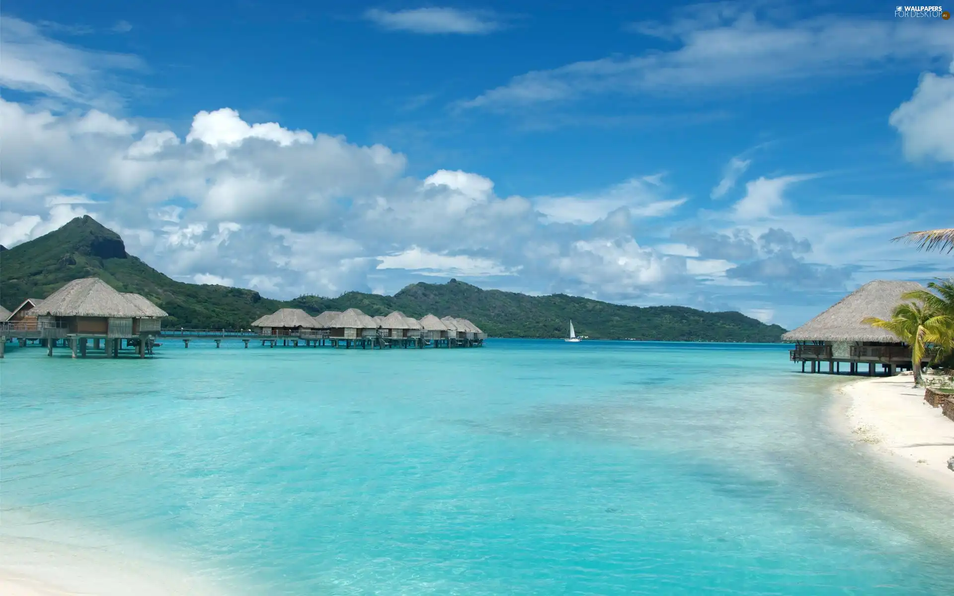 azure, water, Bora Bora, Houses, Island