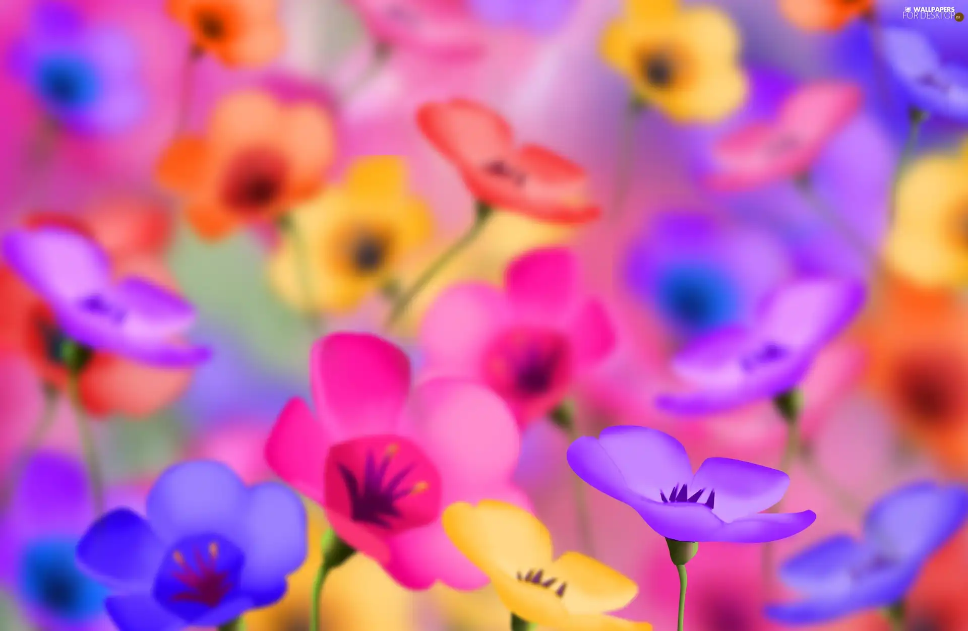 color, fuzzy, background, Flowers