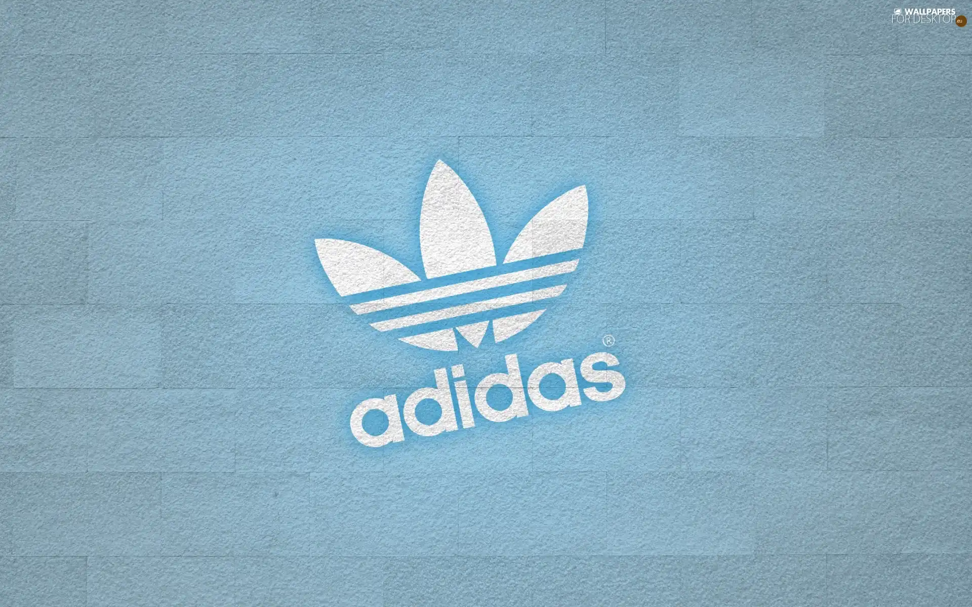 adidas, Light blue, background