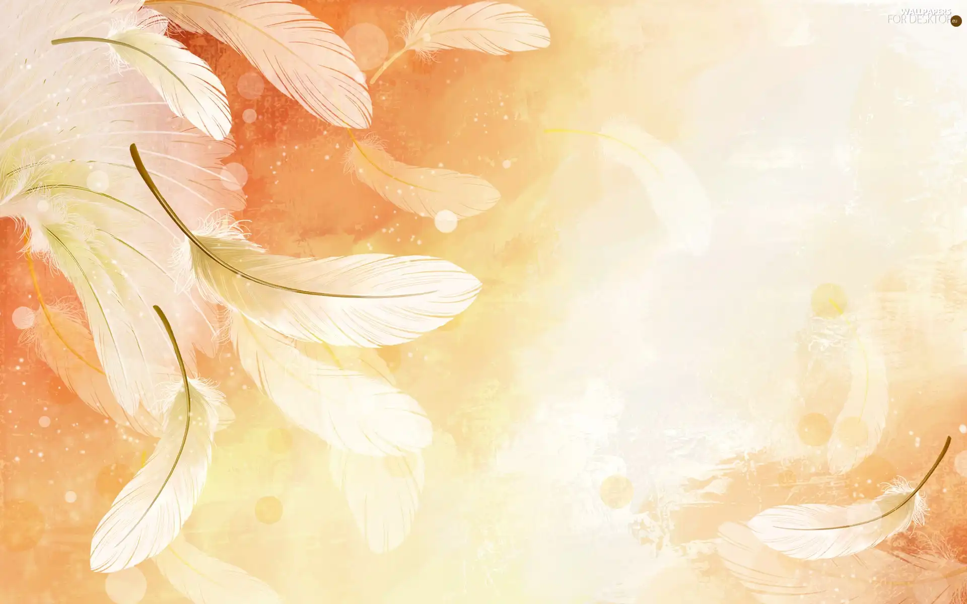 background, feather, Orange