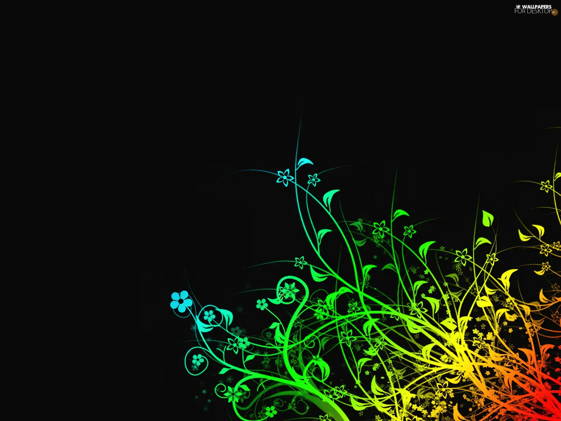 rainbow, Black, background, Flowers