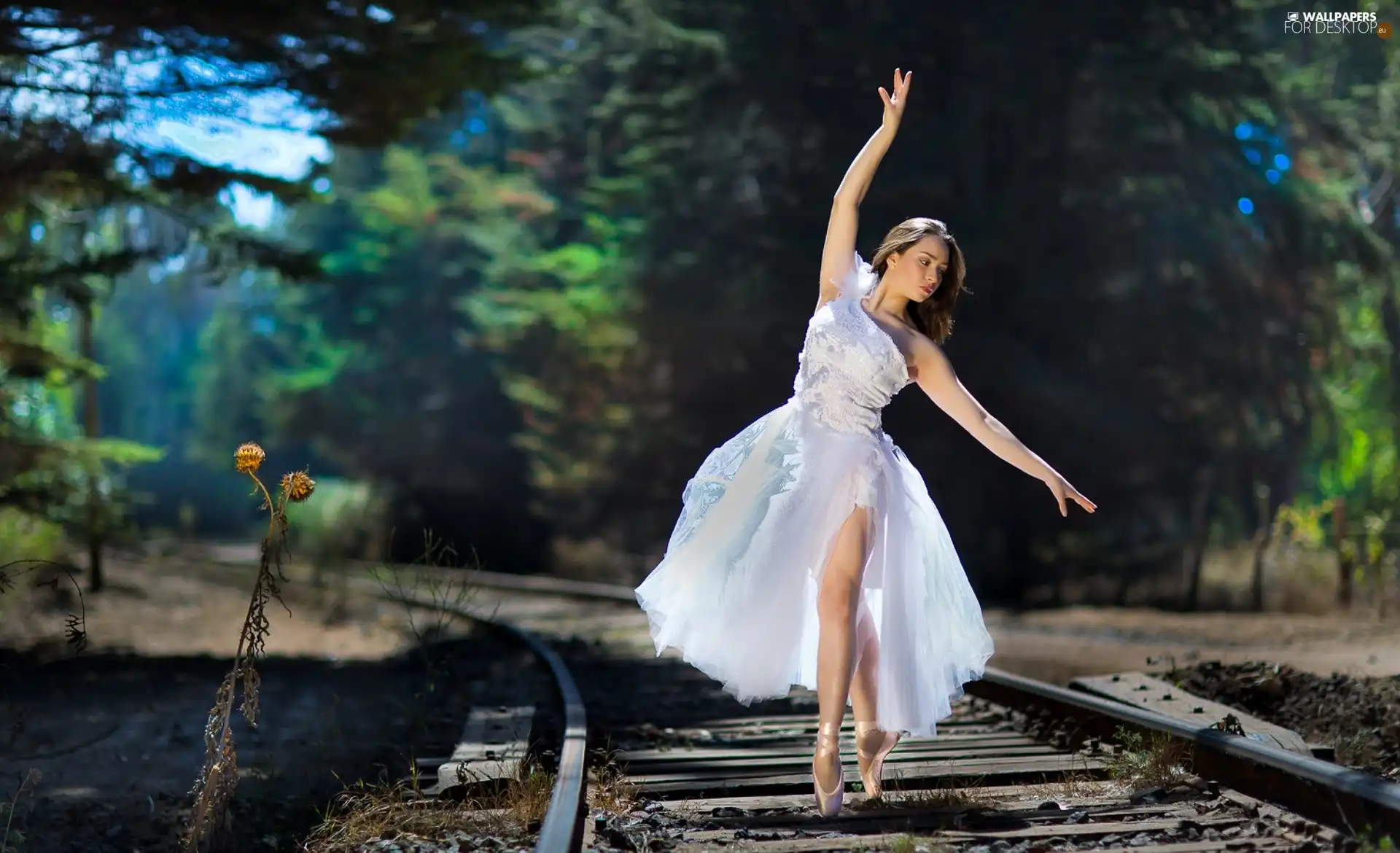 Railroad Tracks, girl, Ballet