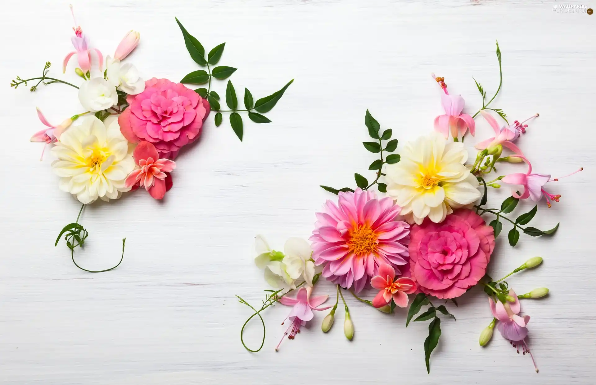 wood, base, donuts, leaves, Flowers