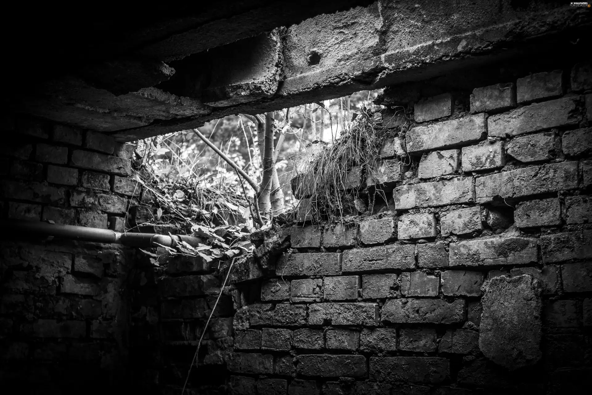 ruins, basement