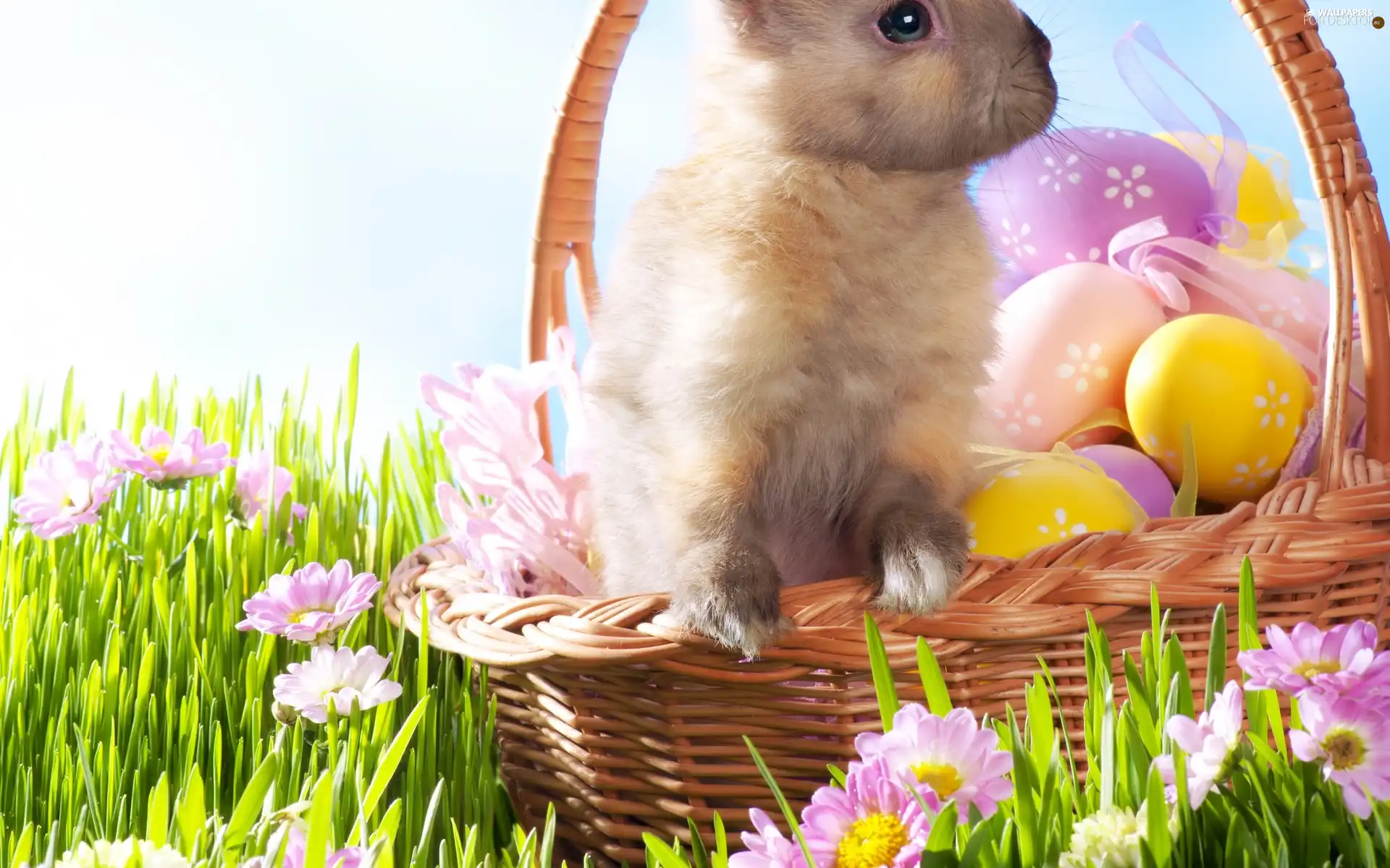 Easter, Rabbit, basket, eggs