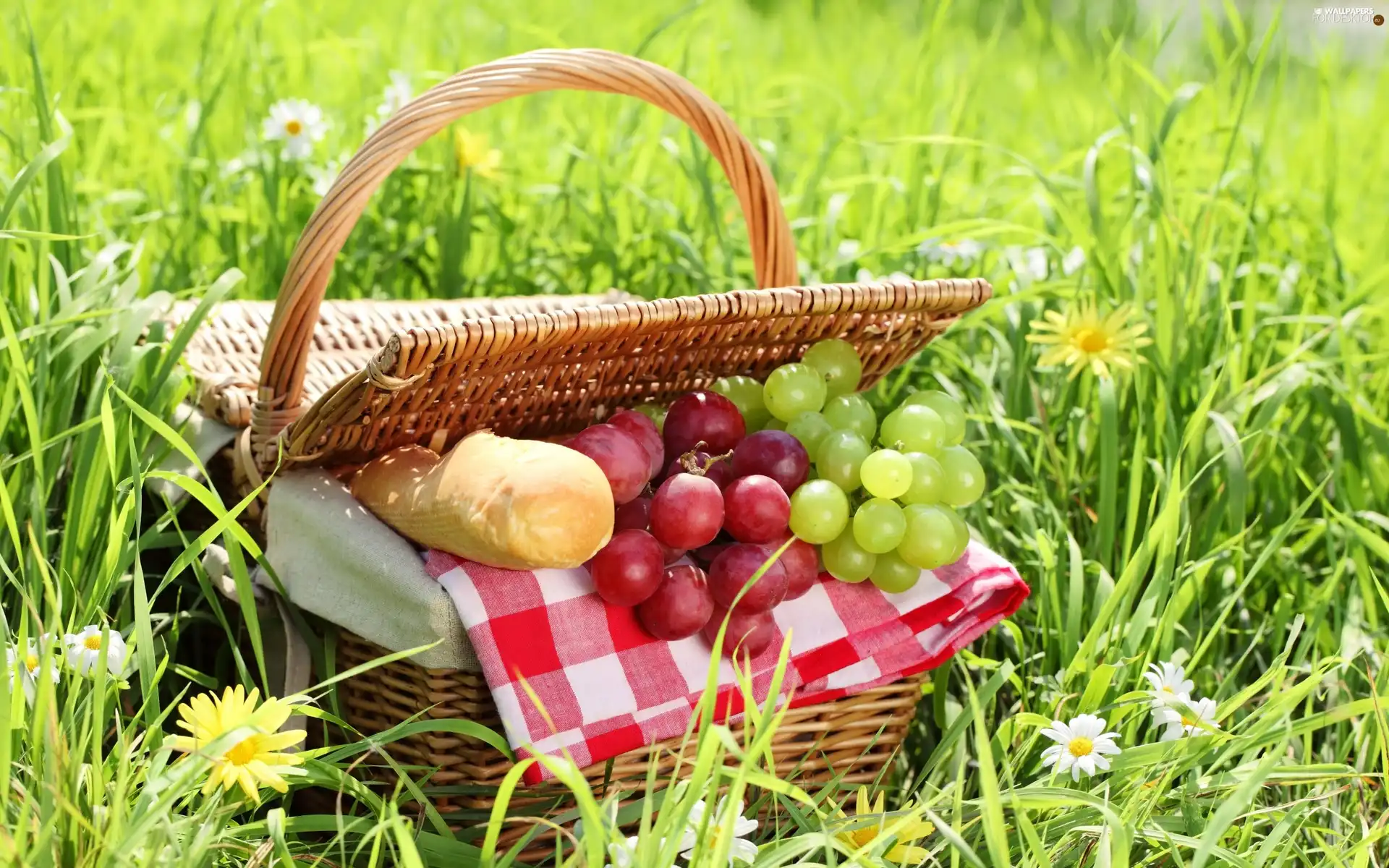 basket, grass, grapes