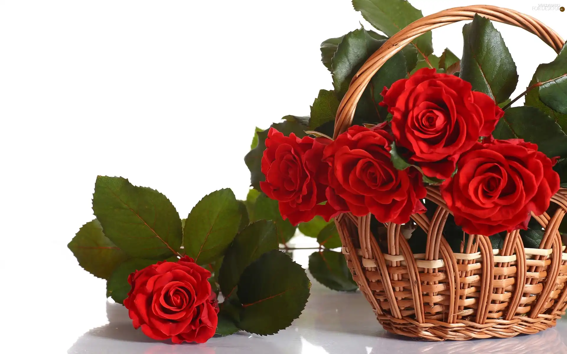 basket, Flowers, roses