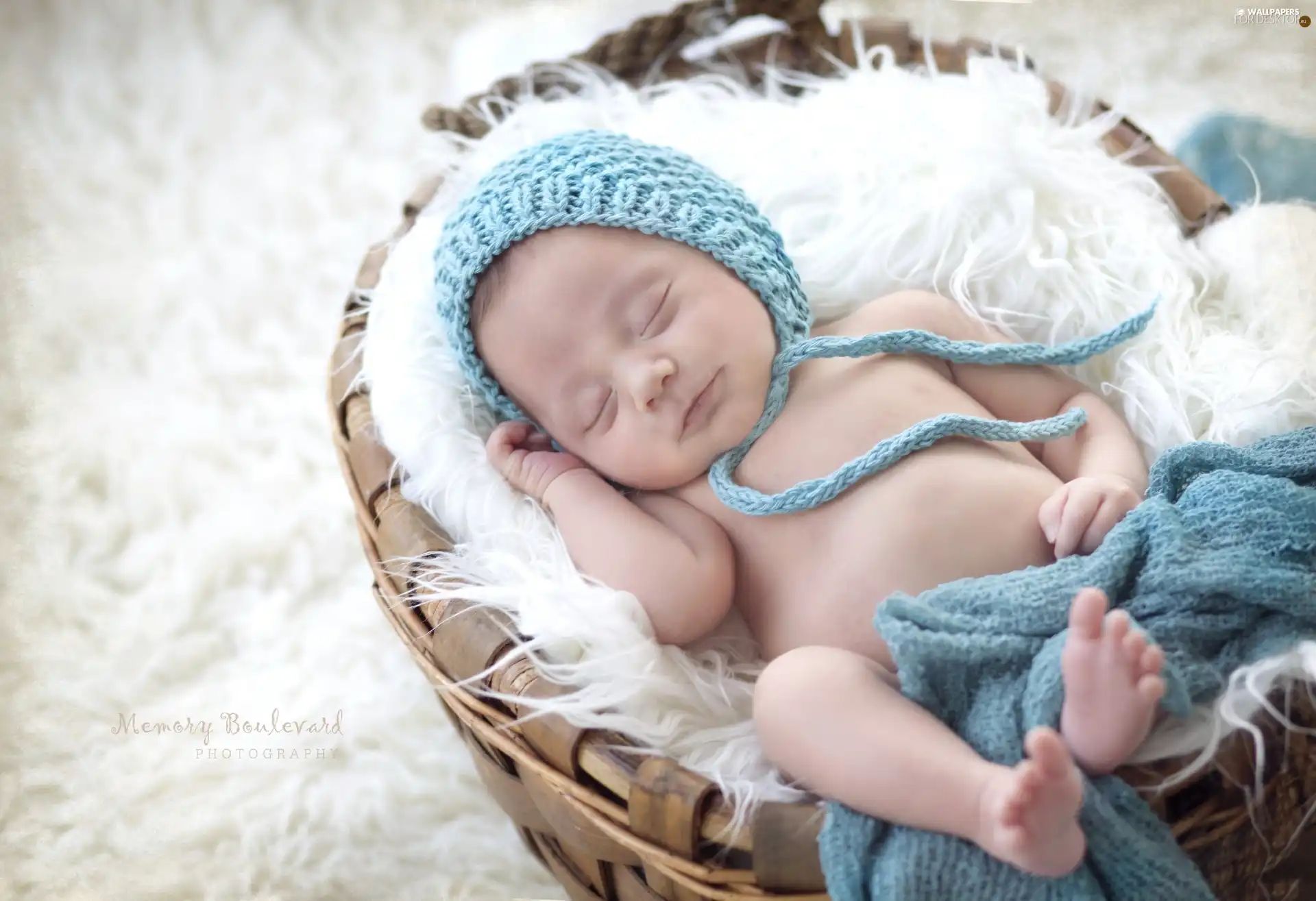 Sleeping, Bonnet, basket, Baby