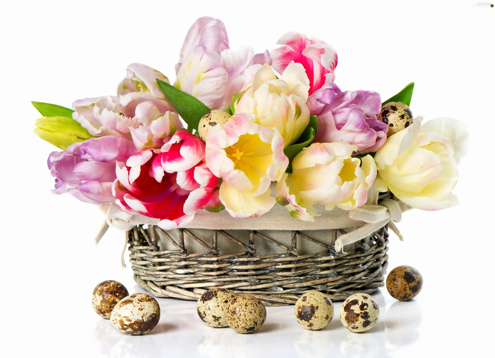 basket, eggs, Tulips