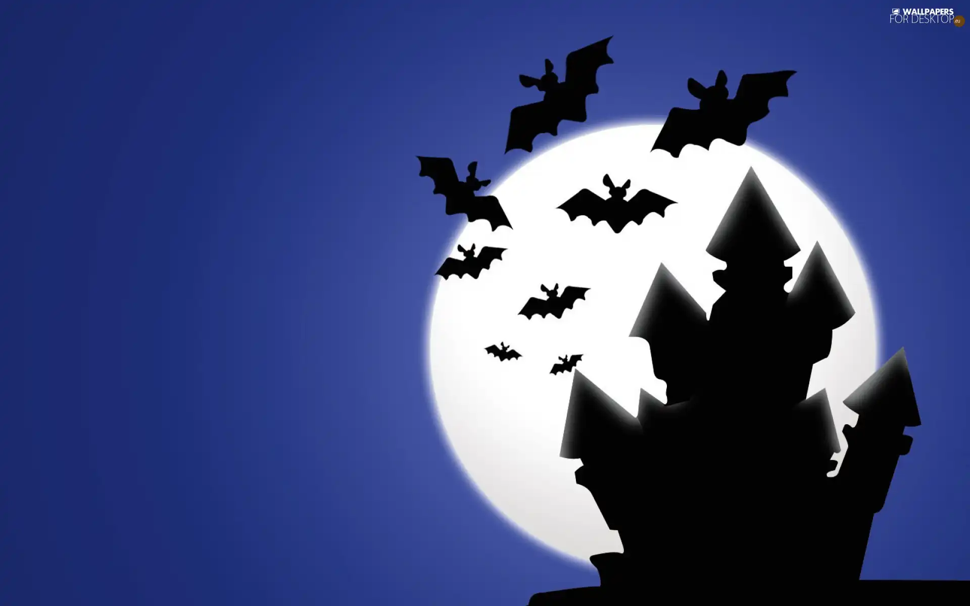 bats, Night, Castle