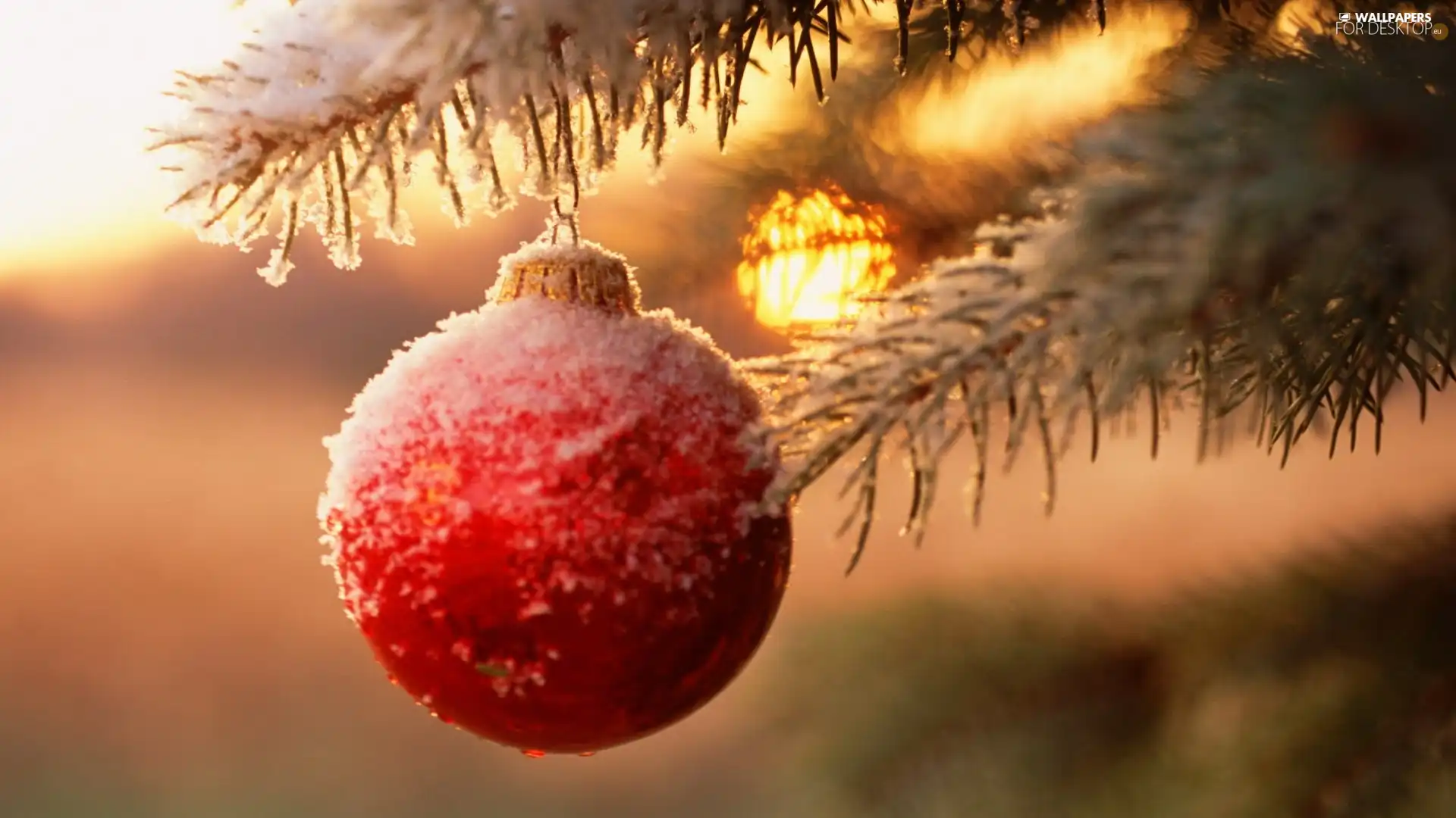 snow, christmas tree, bauble