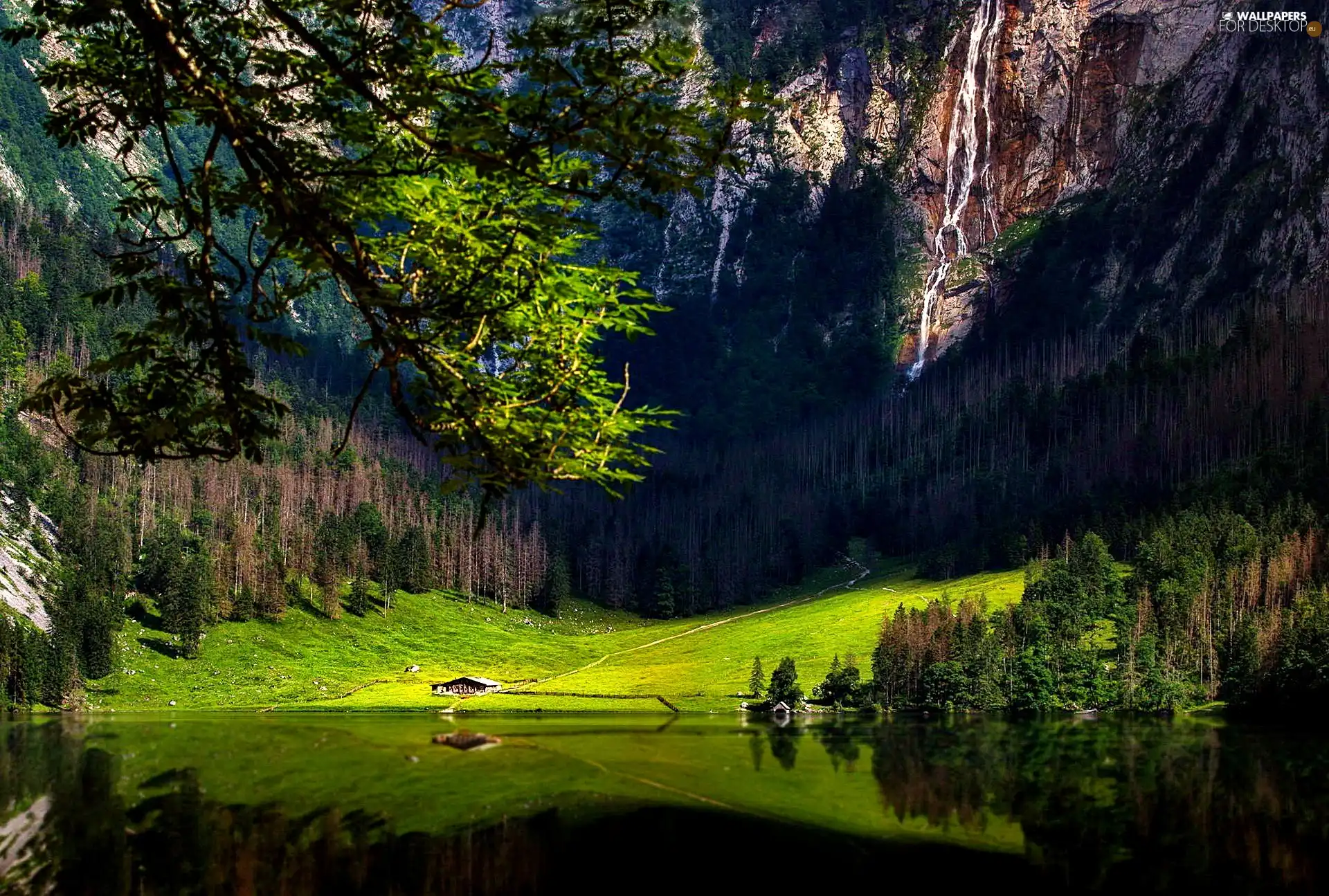 forest, Mountains, Bavaria, Germany, lake, waterfall
