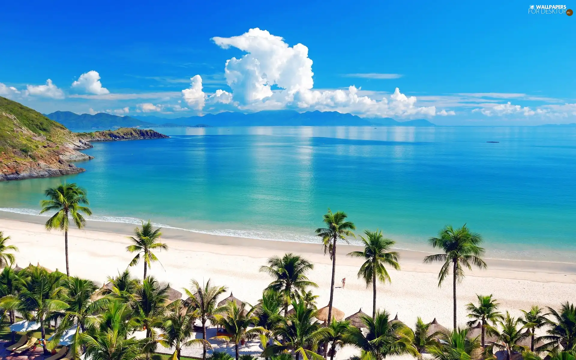 Beaches, Palms, clouds, sea, Sky