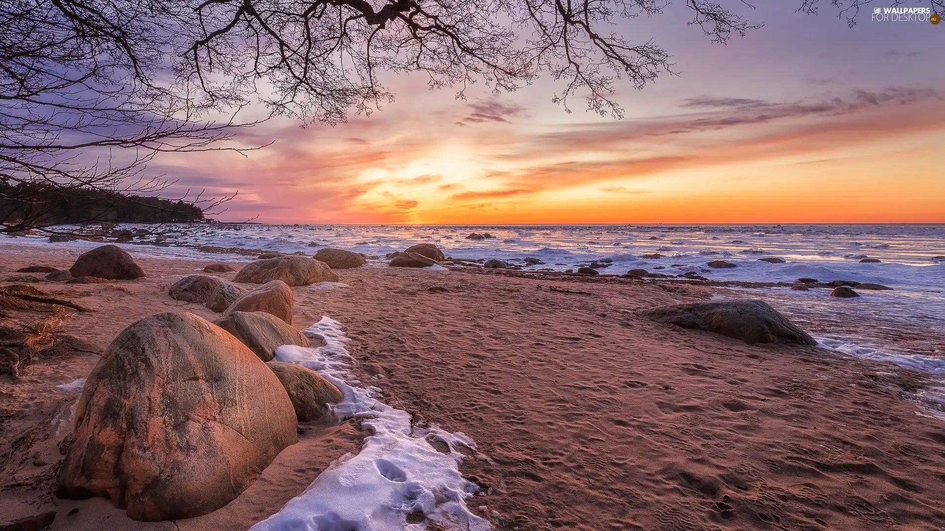branch pics, Stones, Beaches, Sunrise, sea