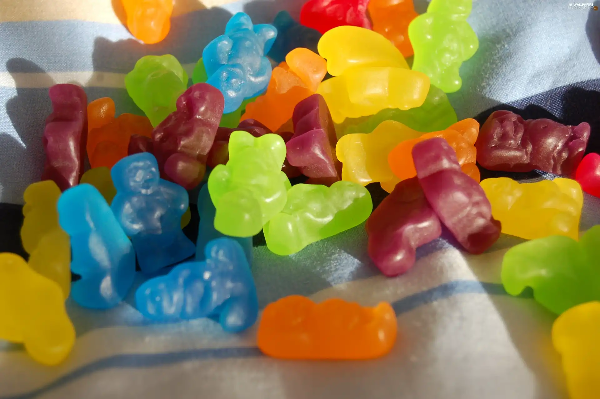 bear, color, jellies