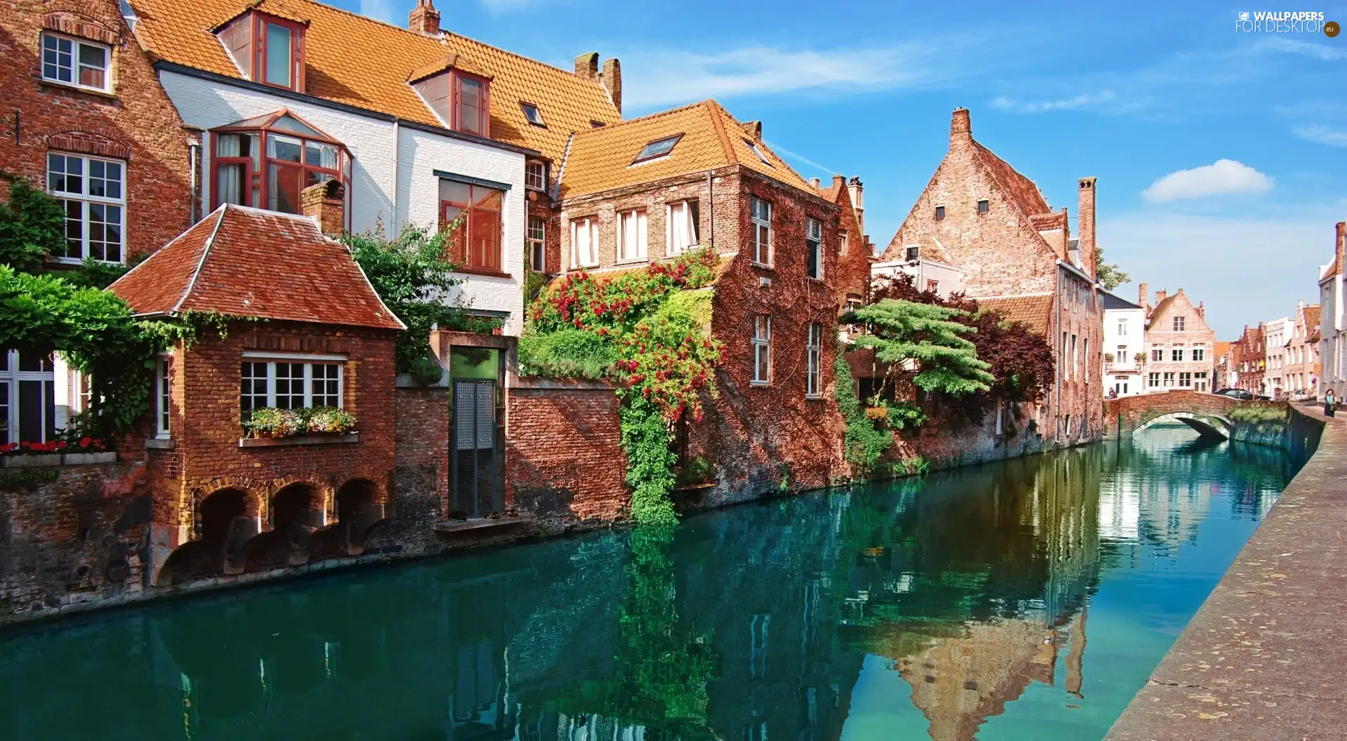 Houses, Bruges, Belgium, canal