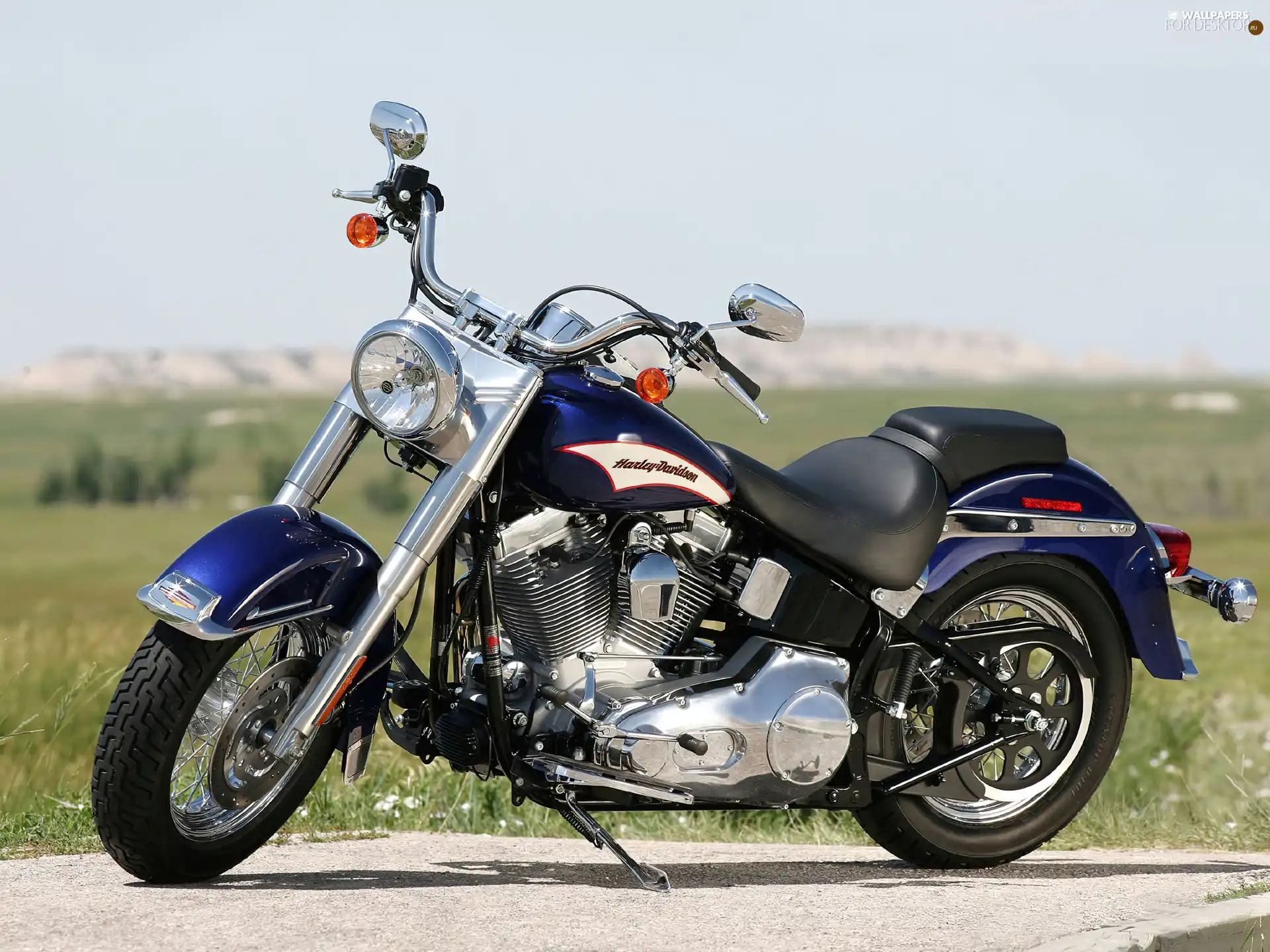 driving, Harley Davidson Softail, belt