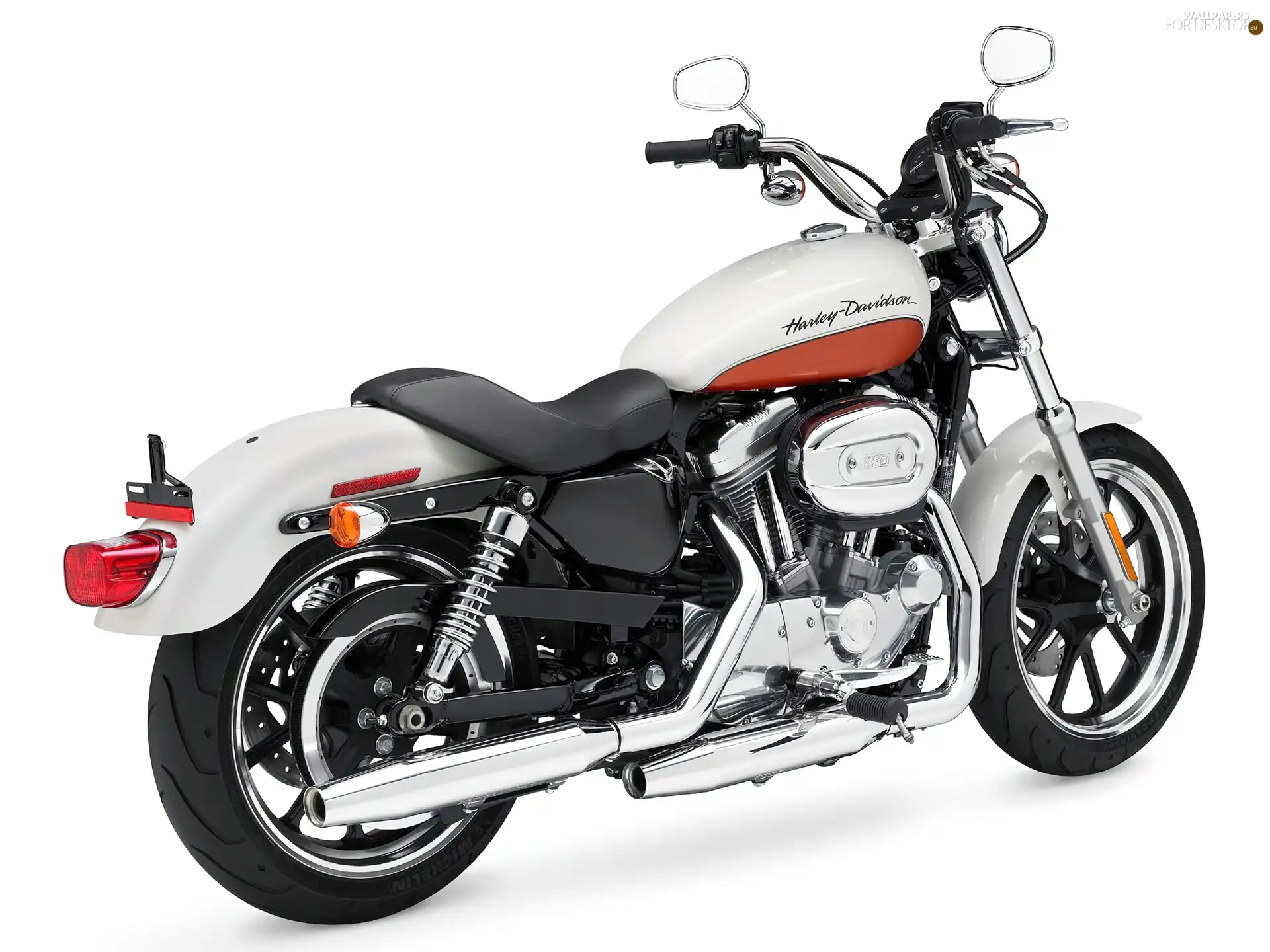 driving, Harley Davidson Sportster 883, belt