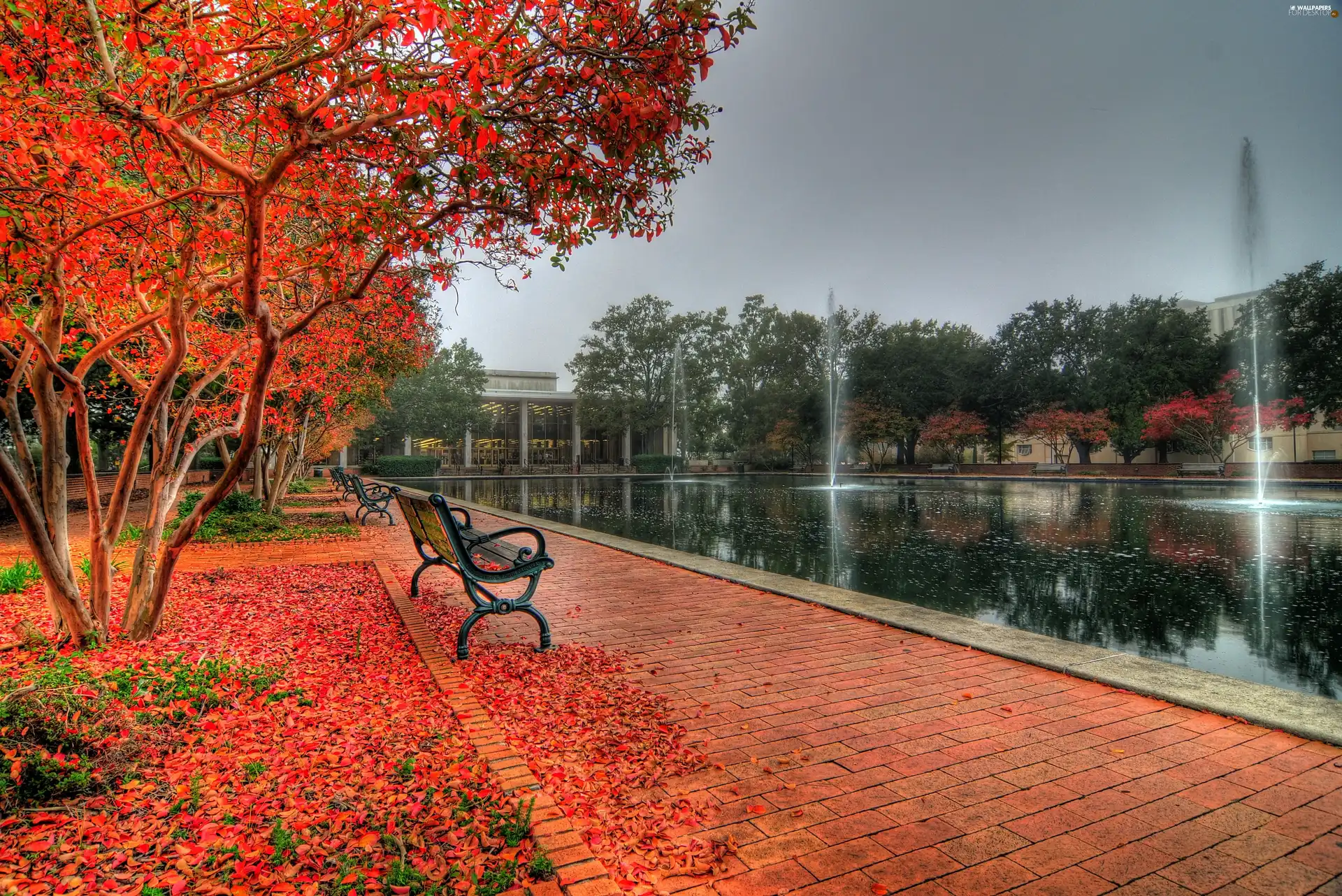 autumn, Fountains, Bench, Park