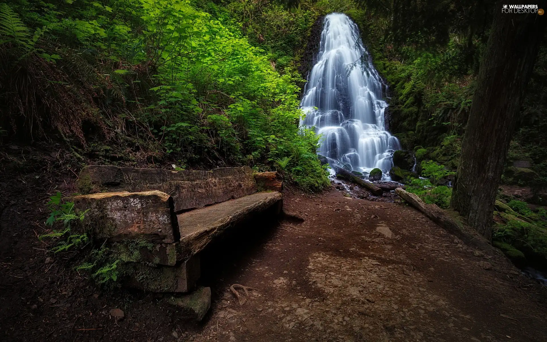 forest, Path, Bench, waterfall