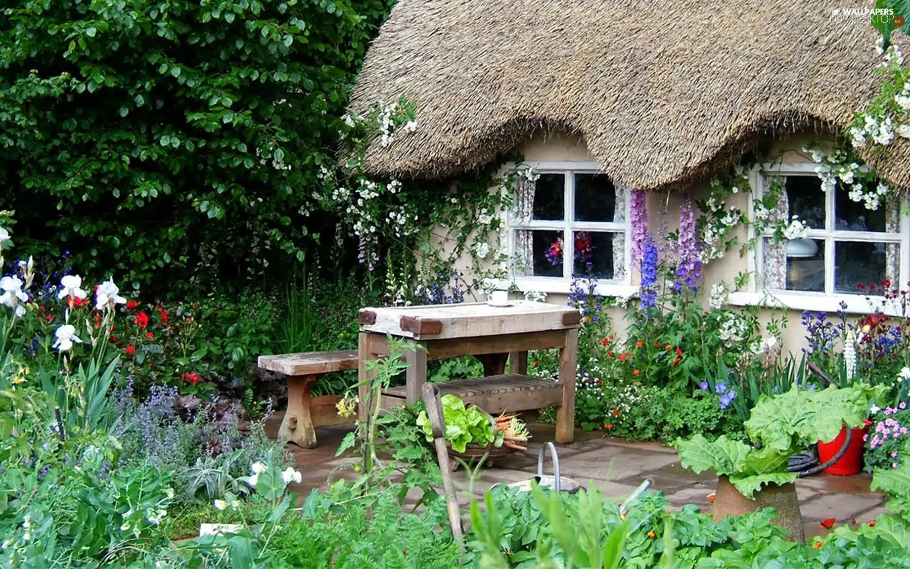 Bench, Cottage, garden