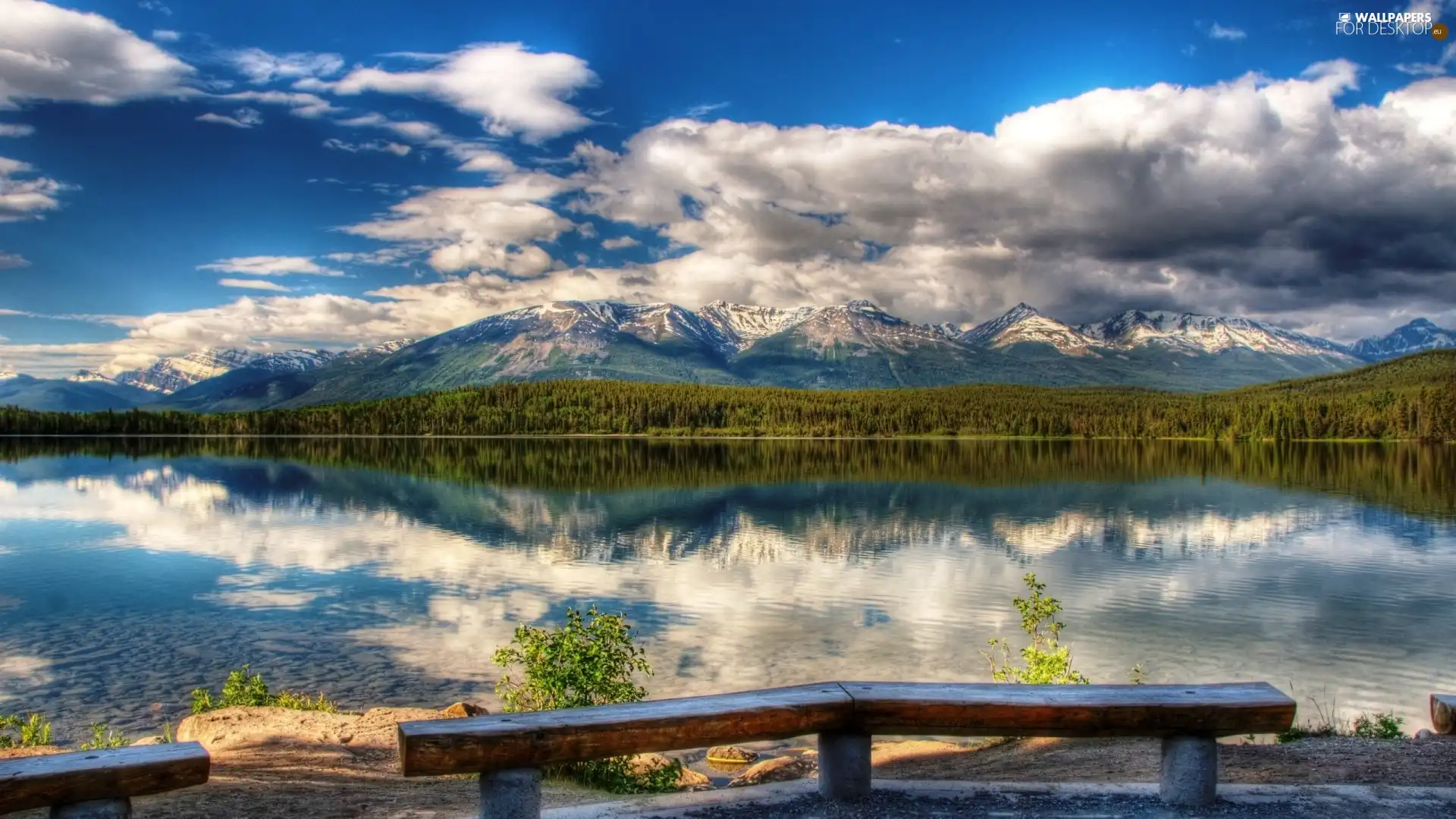 lake, Mountains, bench, forest