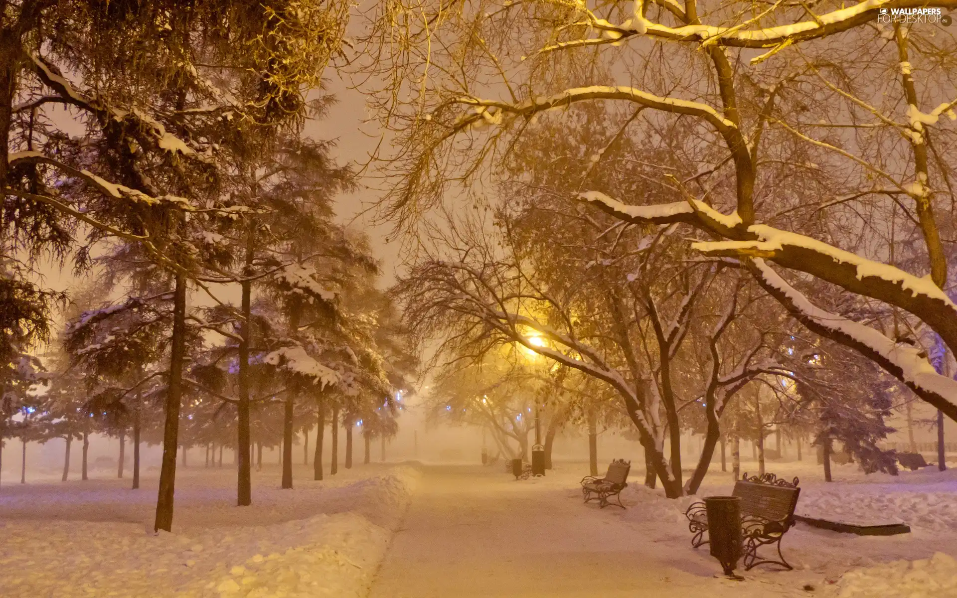 bench, winter, Park