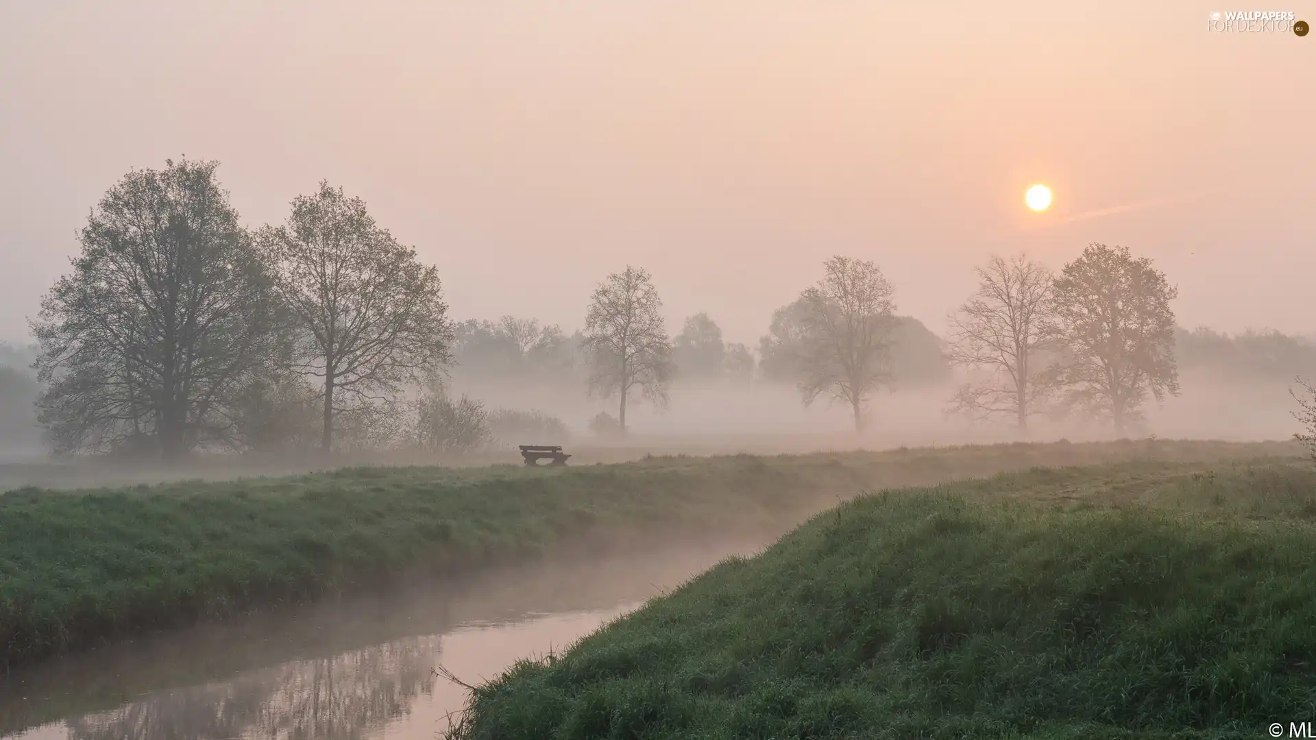 Fog, River, viewes, Bench, trees, Sunrise