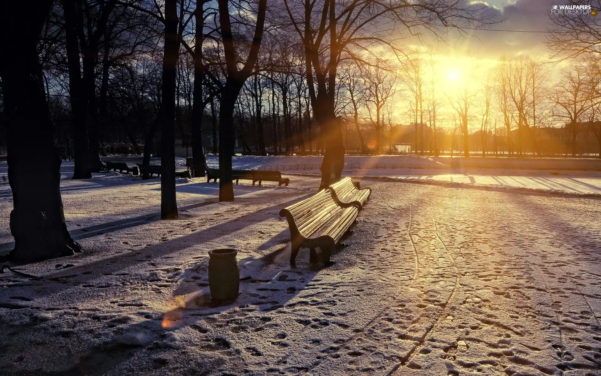 sun, winter, trees, Przebijające, Park, bench, viewes