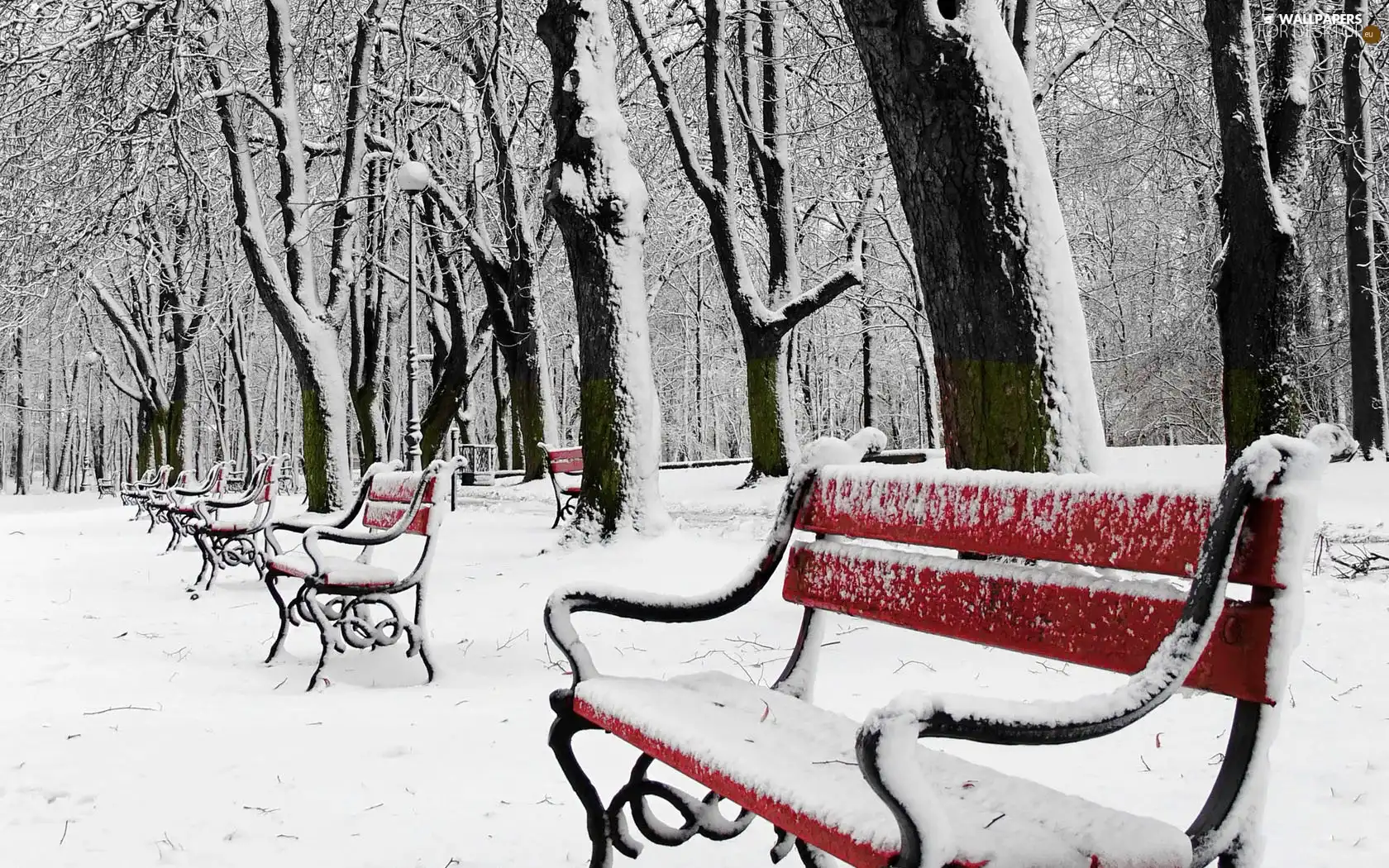 bench, winter, trees, viewes, Park