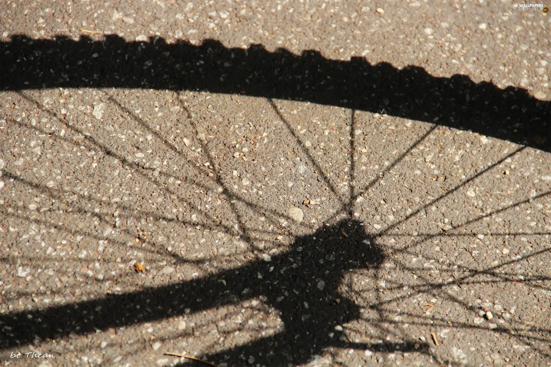 bicycle, shadow, wheel