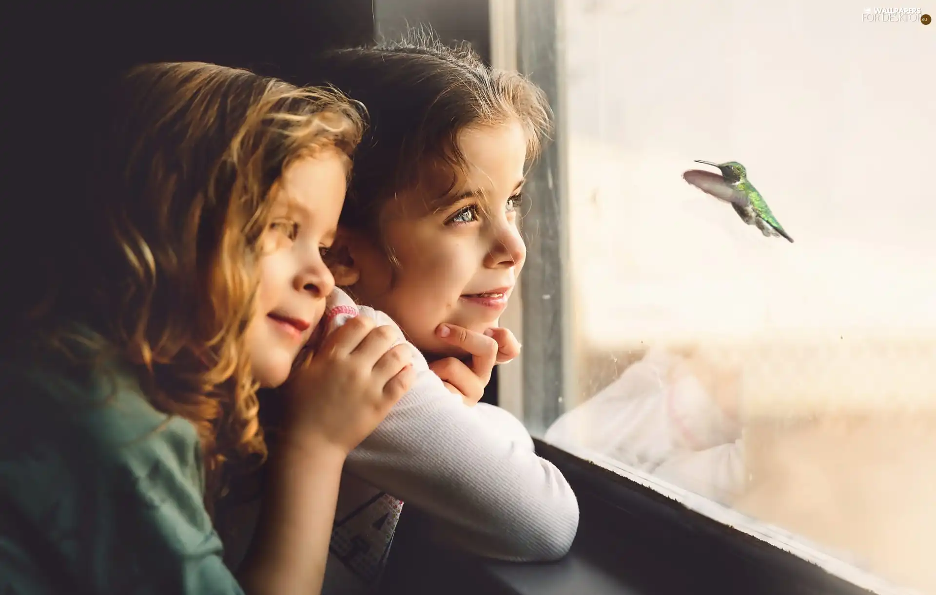 Bird, humming-bird, girls, Window, Two