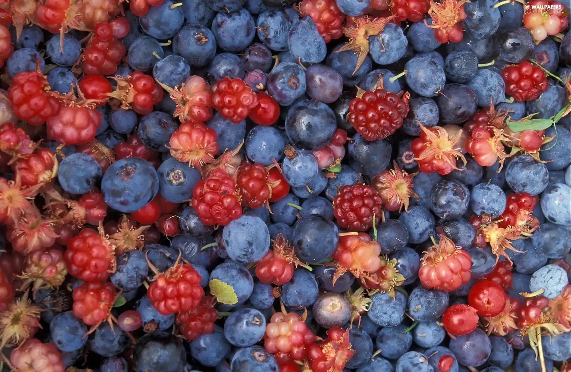 blueberries, blackberries