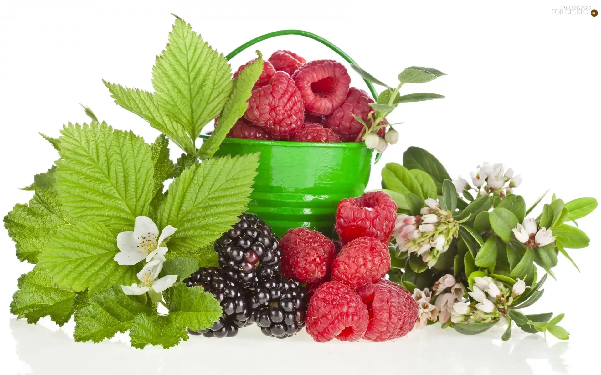 blackberries, Flowers, Bucket, raspberries, green ones